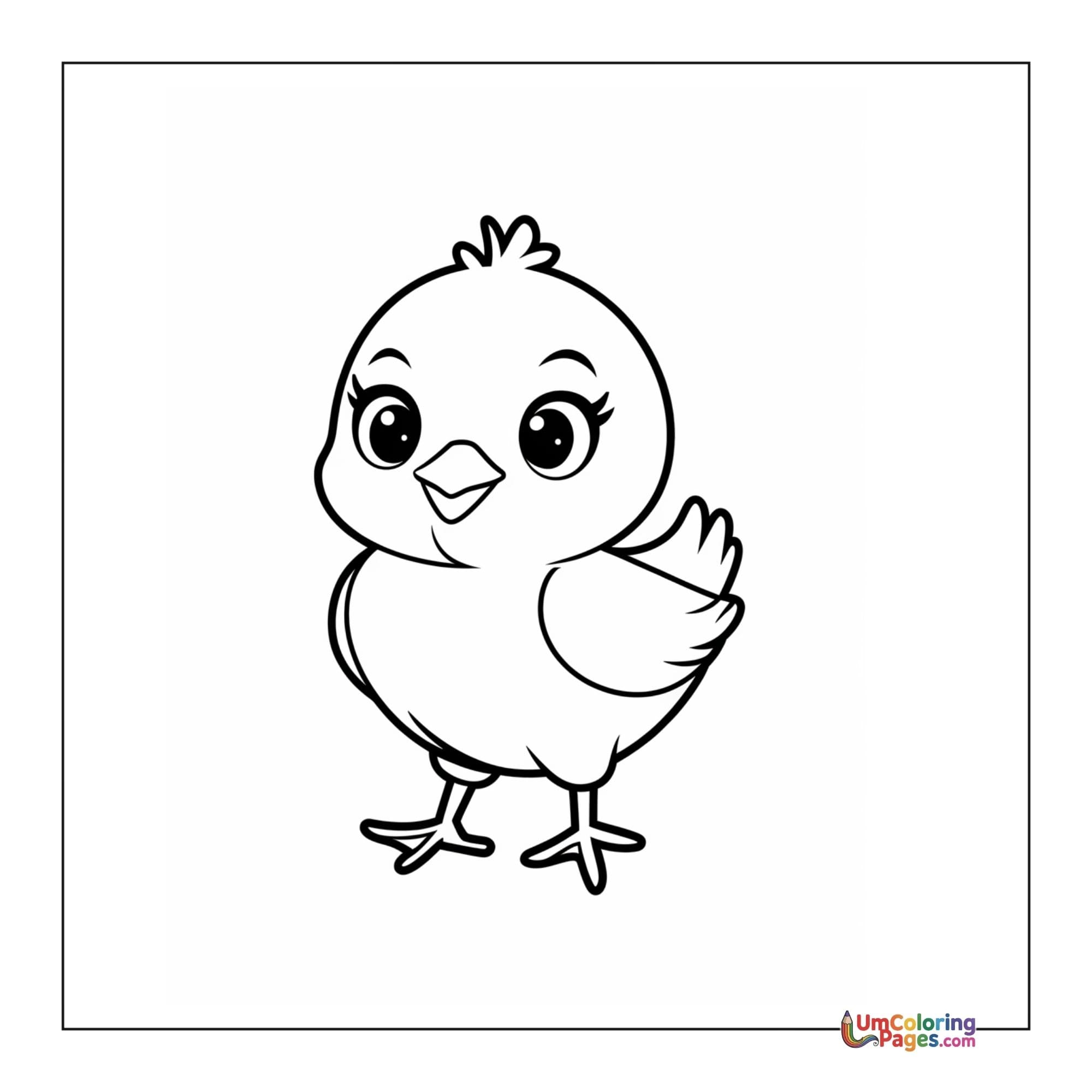Birds coloring pages
