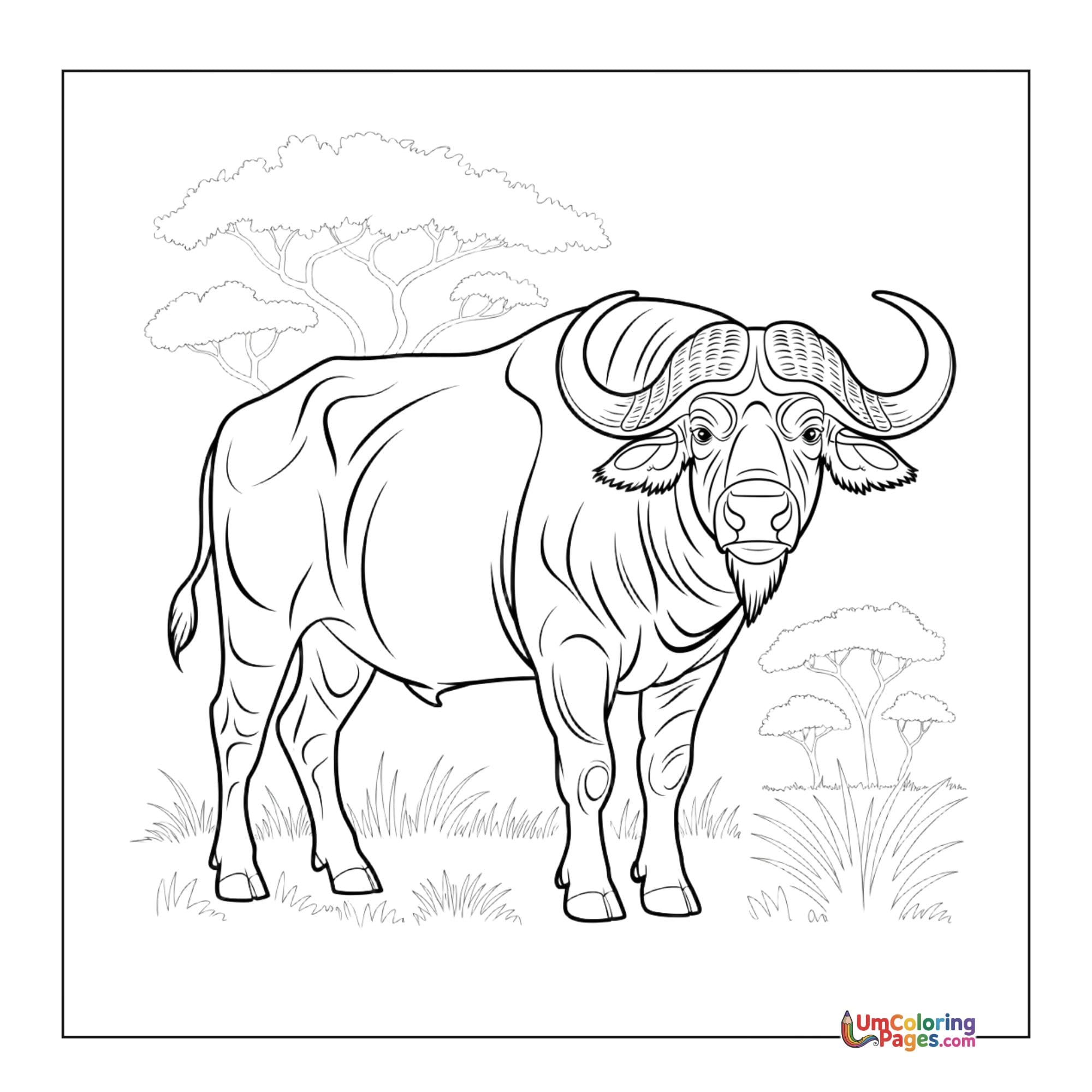 Buffalo coloring page 6 - free printable PDF