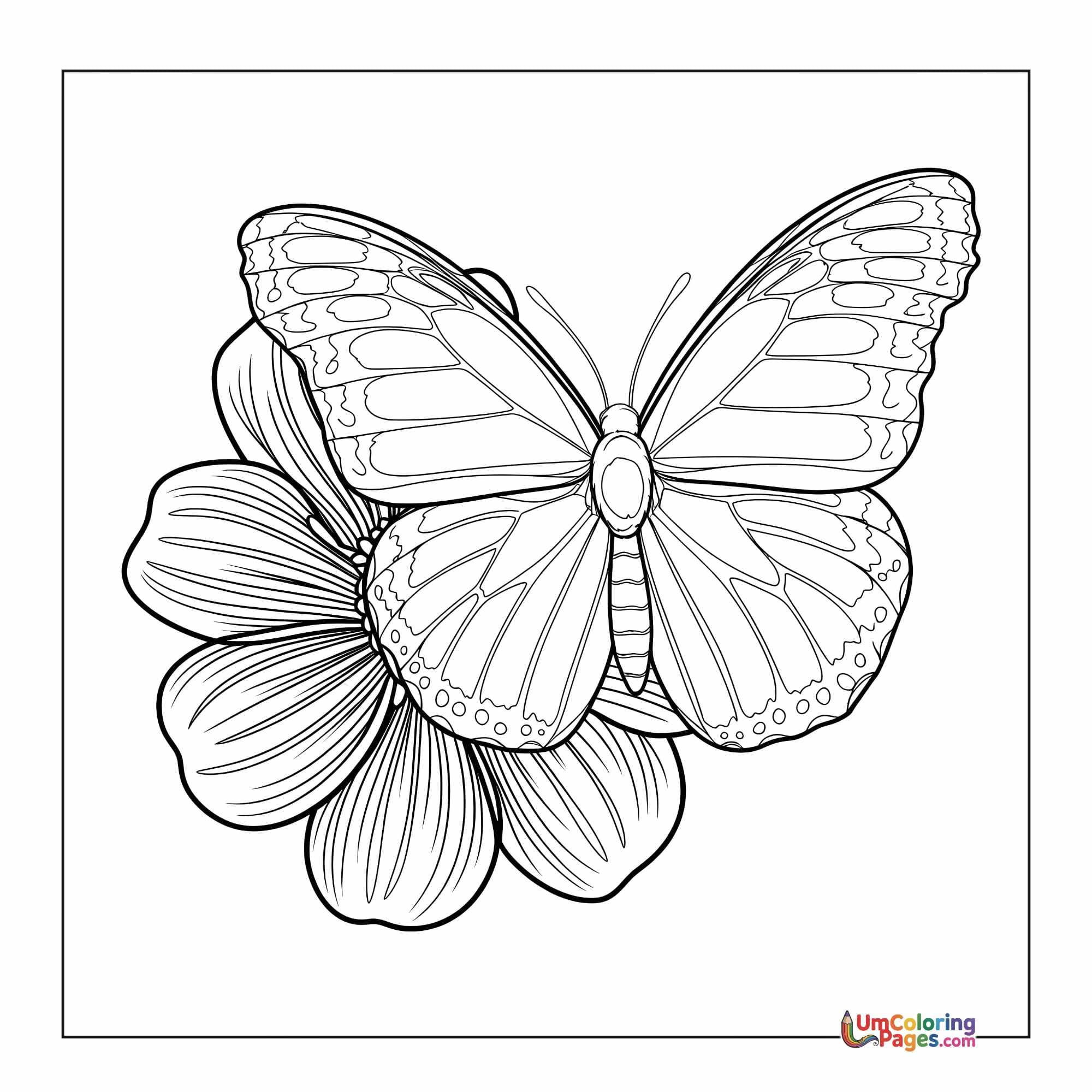 Butterfly coloring page 2 - free printable PDF