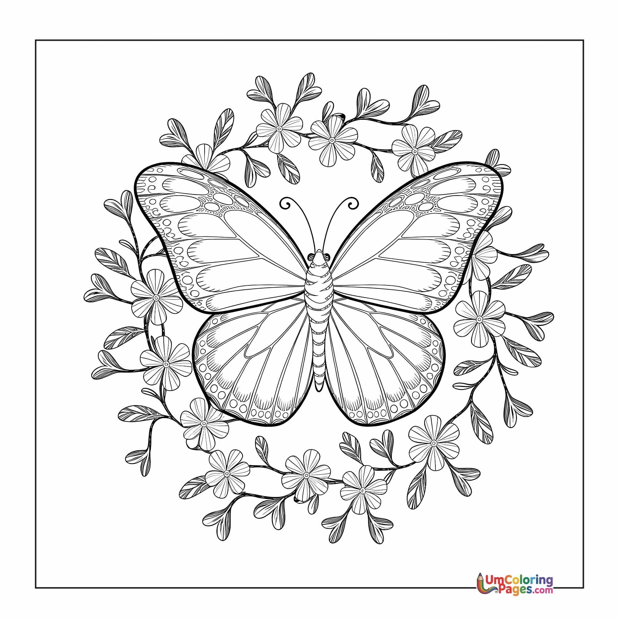 Butterfly coloring page 4 - free printable PDF