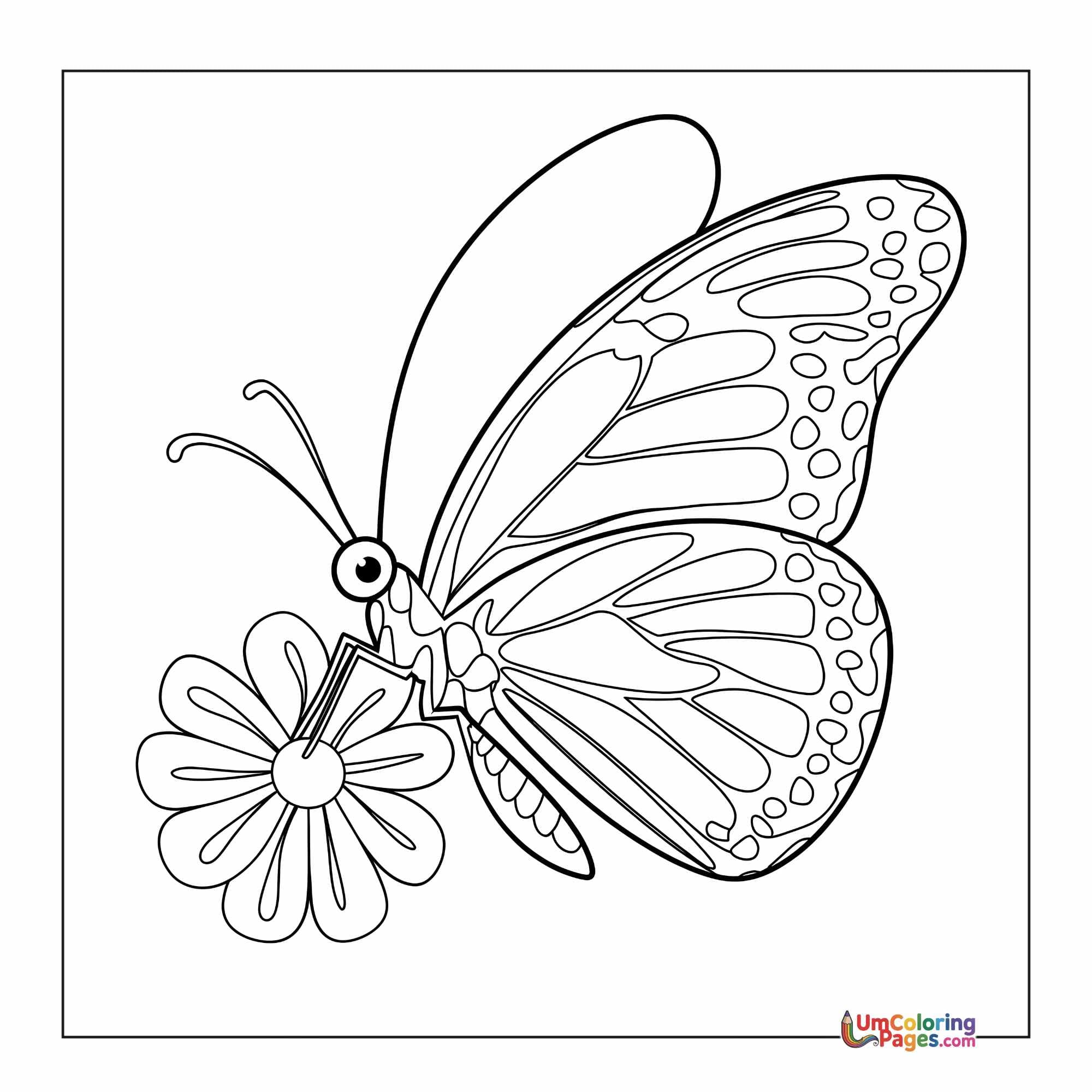 Butterfly coloring page 7 - free printable PDF