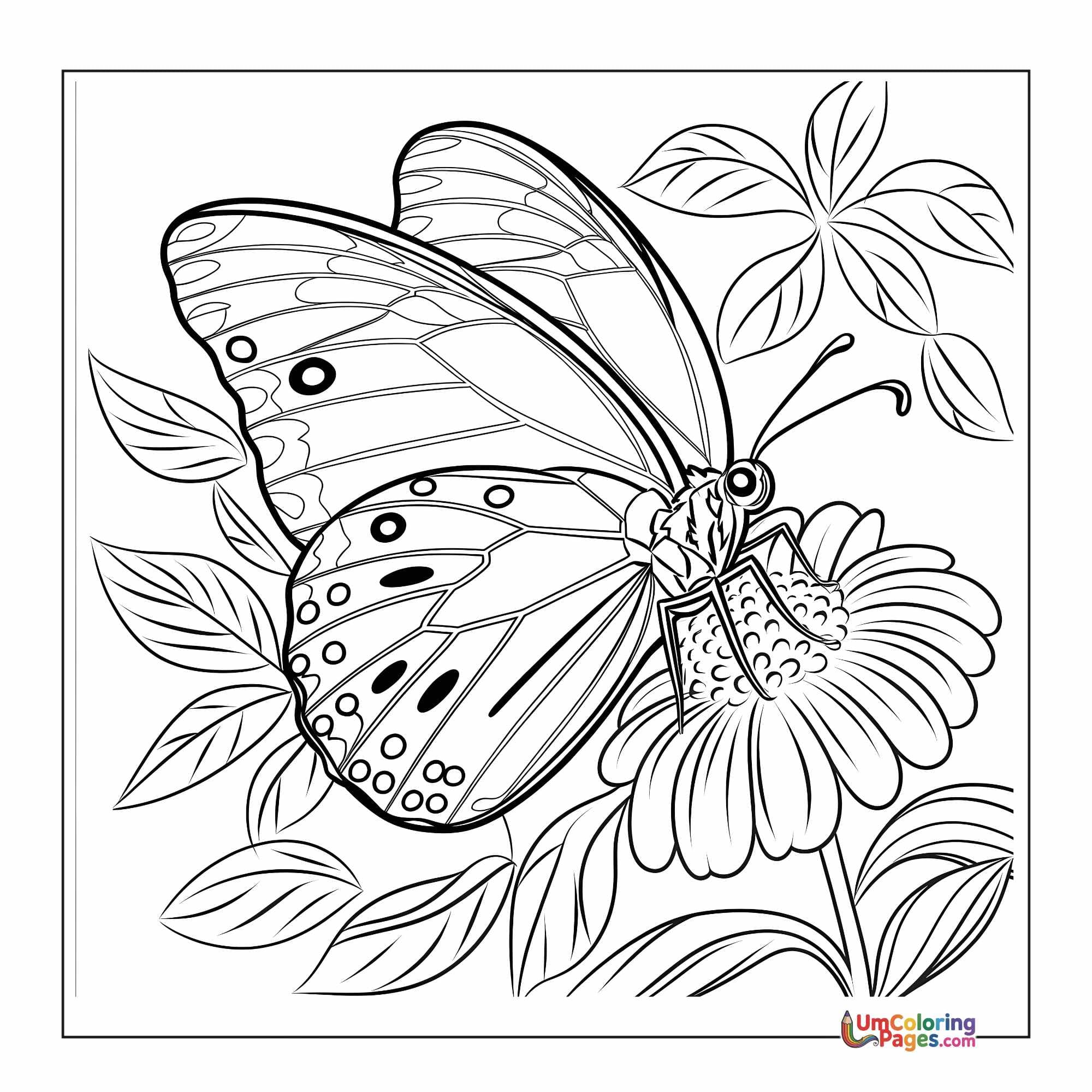 Butterfly coloring page 8 - free printable PDF