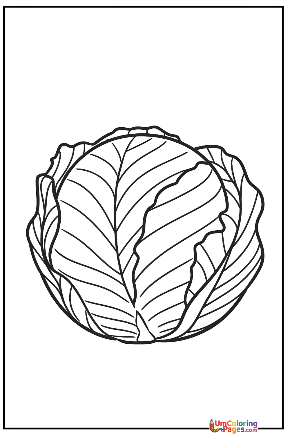 Cabbage coloring page 3 - free printable PDF