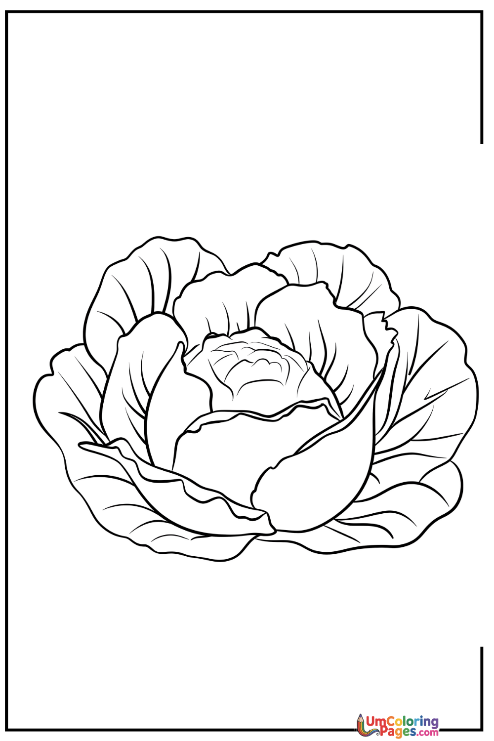 Cabbage coloring page 4 - free printable PDF
