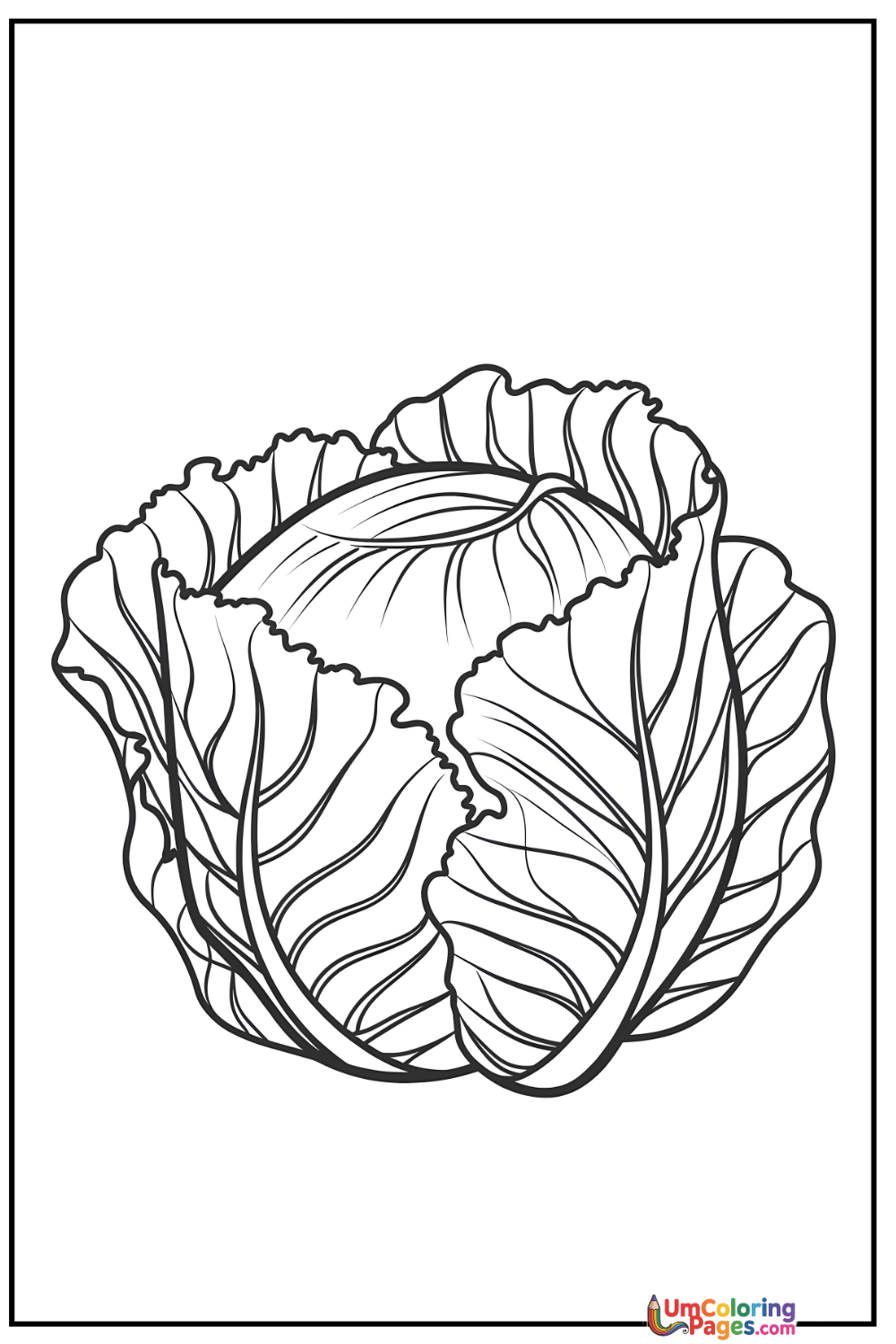 Cabbage coloring page 5 - free printable PDF