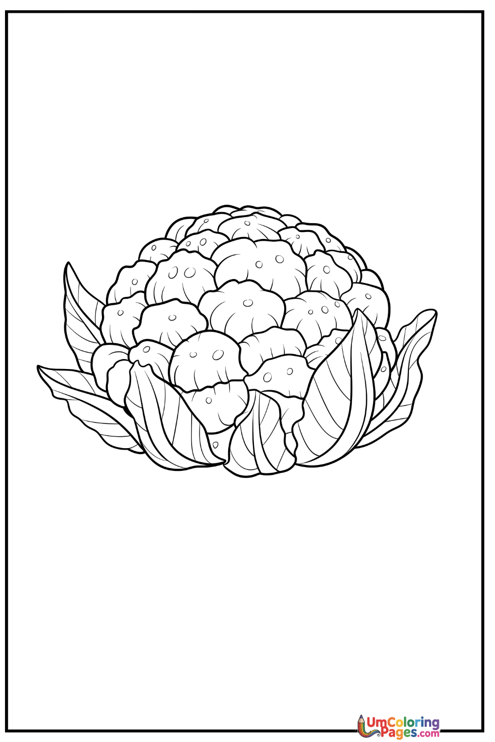 Cauliflower coloring page 2 - free printable PDF