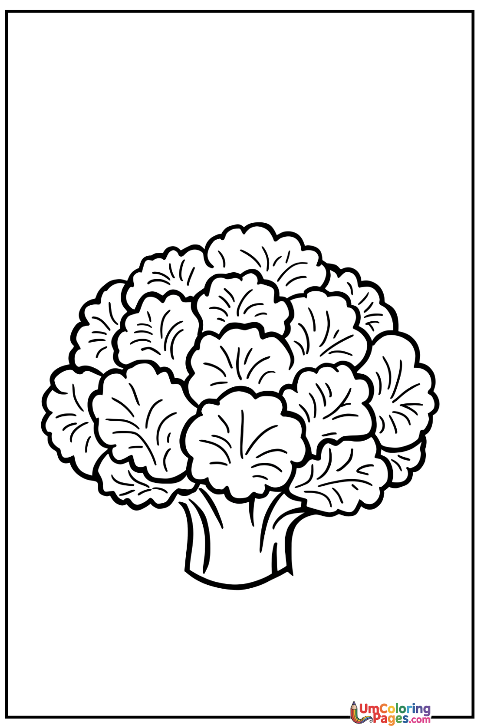 Cauliflower coloring page 3 - free printable PDF
