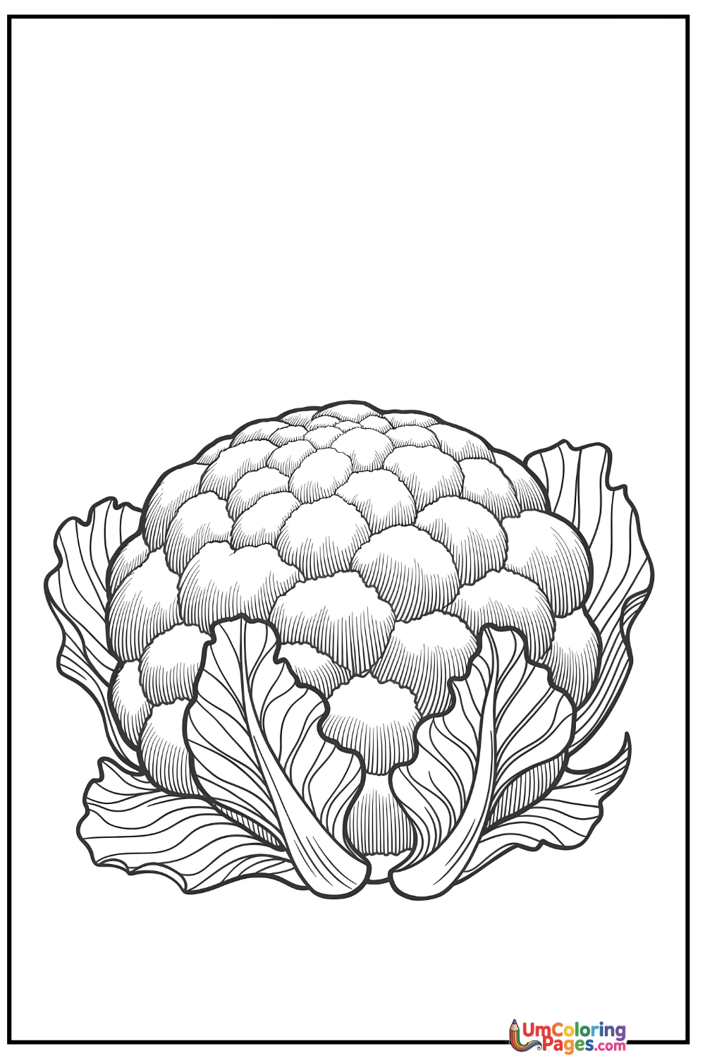 Cauliflower coloring page 4 - free printable PDF