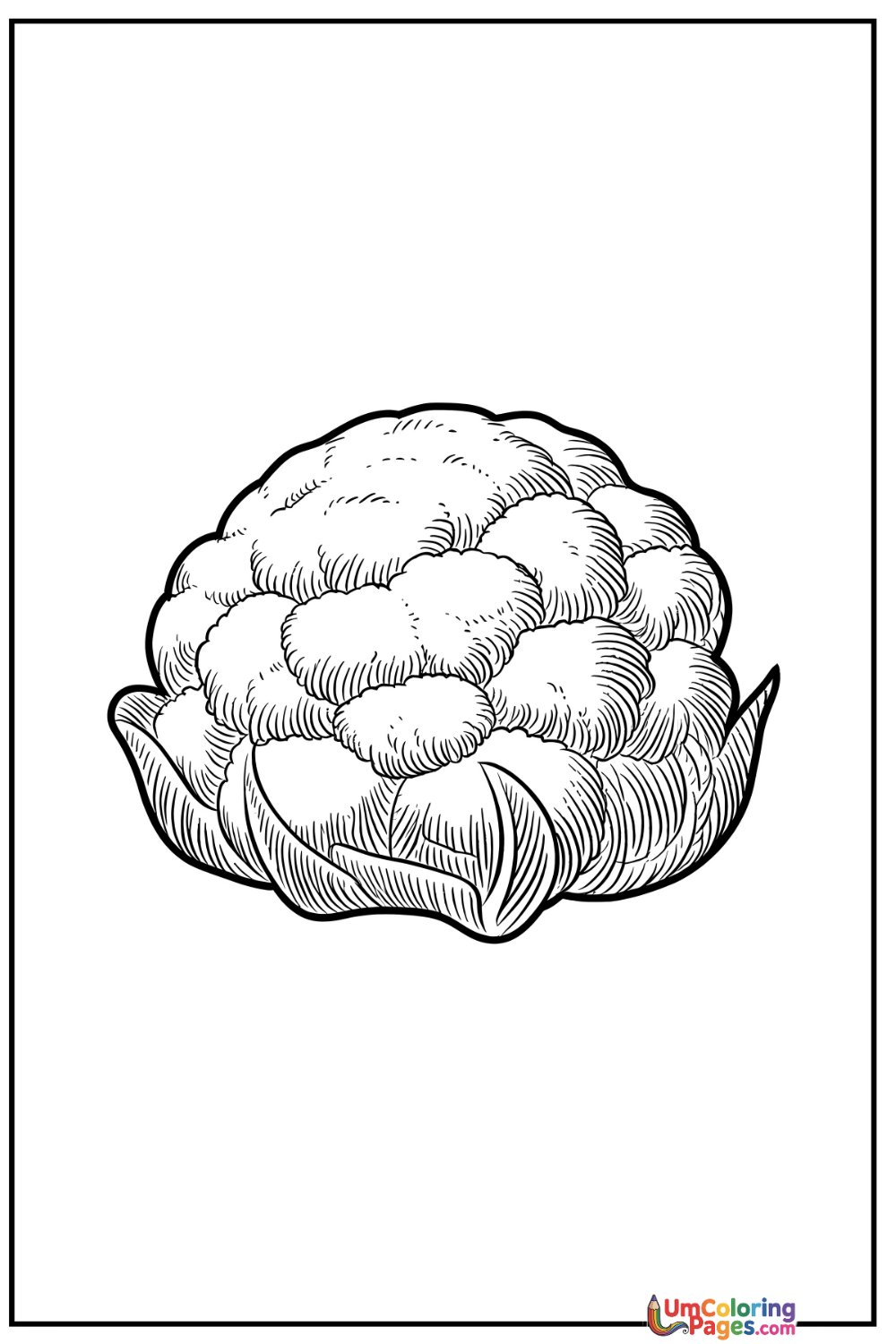 Cauliflower coloring page 5 - free printable PDF