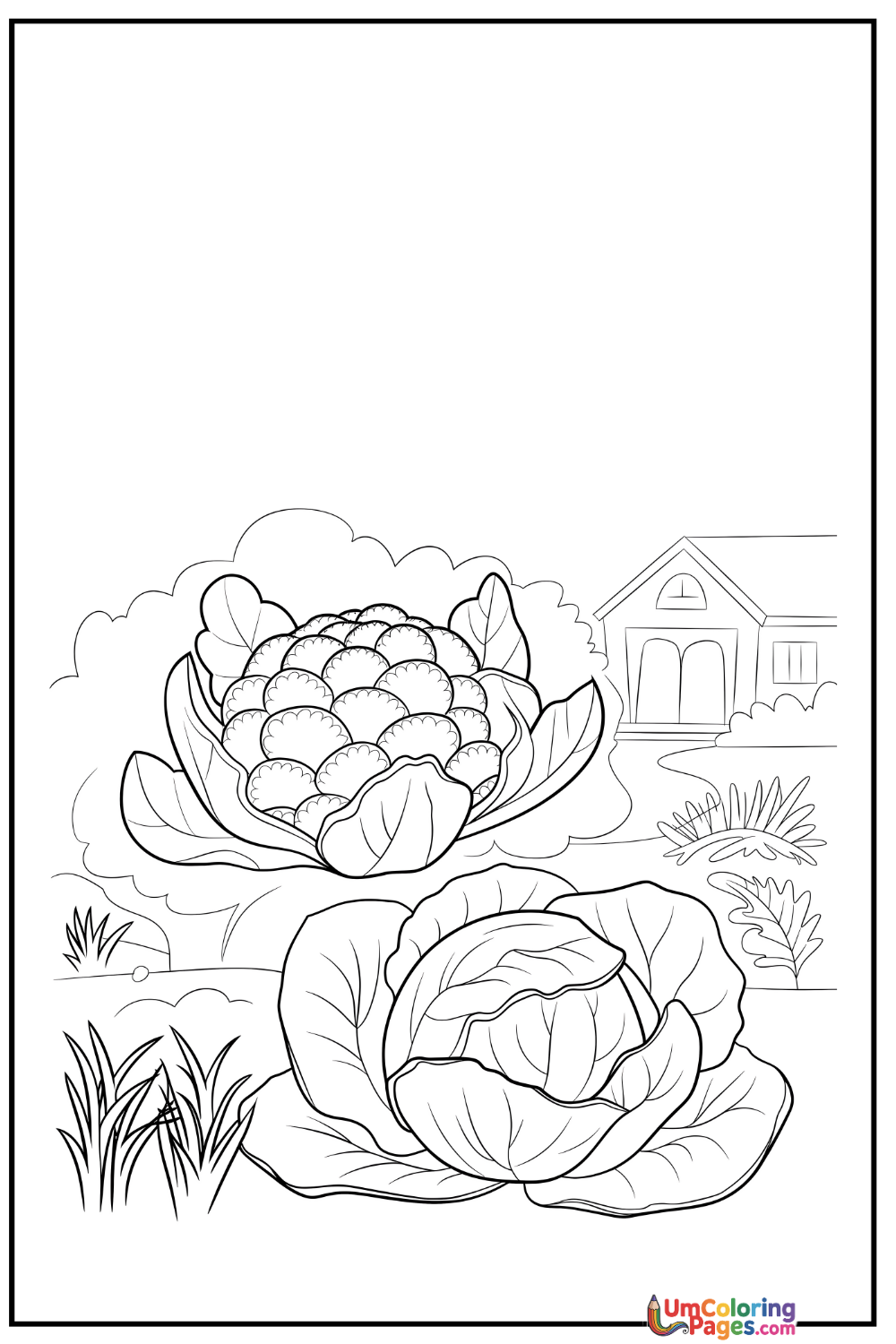 Cauliflower coloring page 6 - free printable PDF