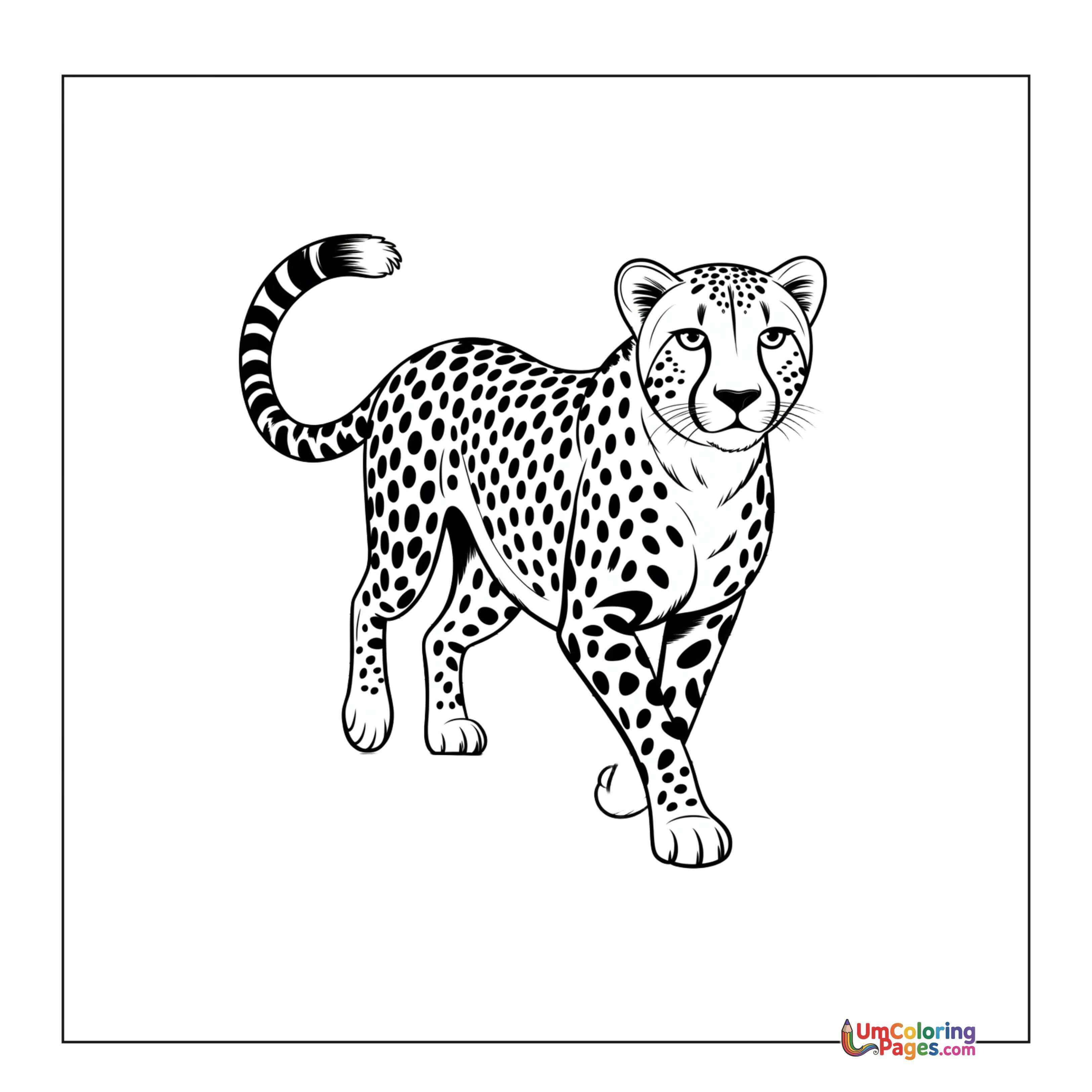 Cheetah coloring page - free printable