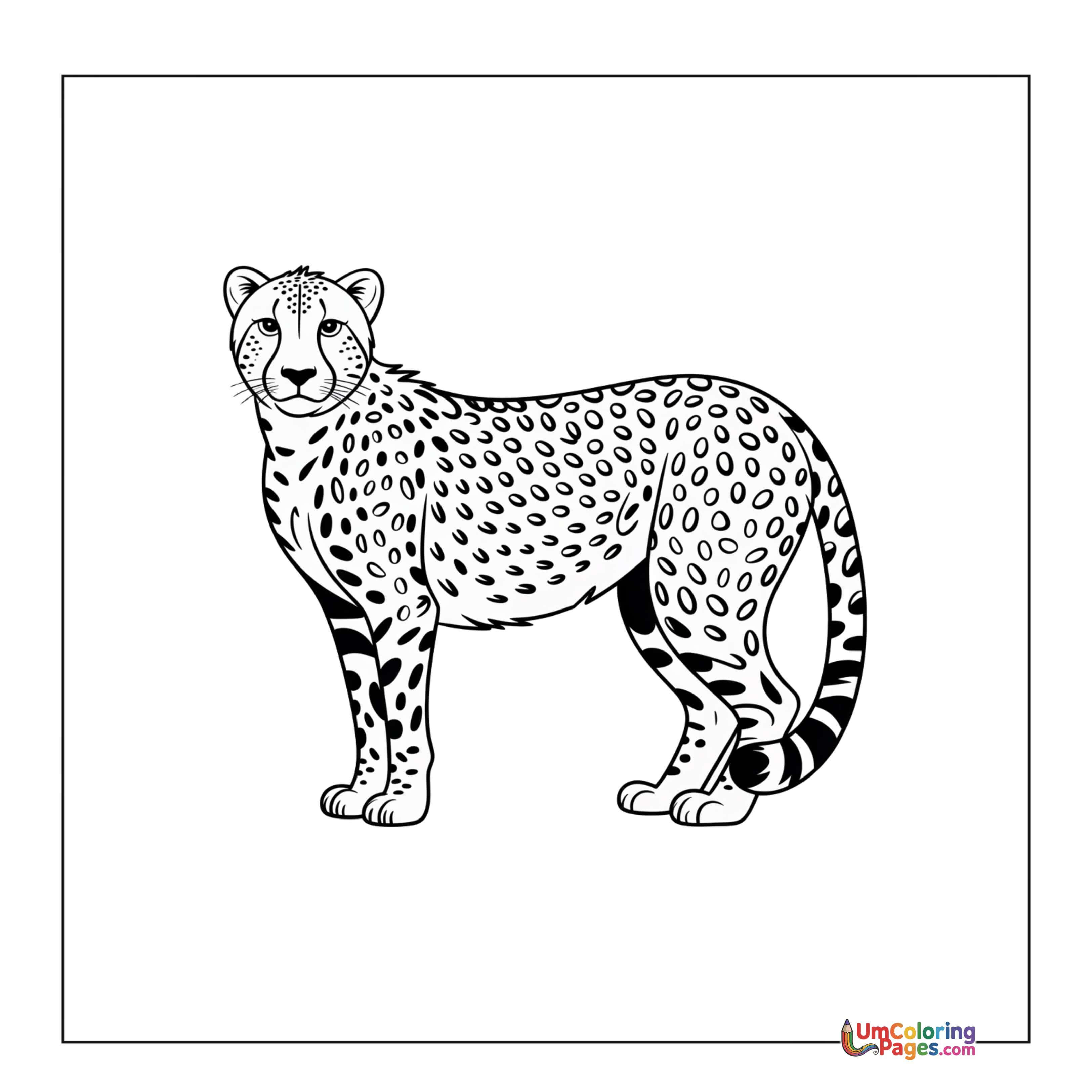Cheetah coloring page 3 - free printable PDF