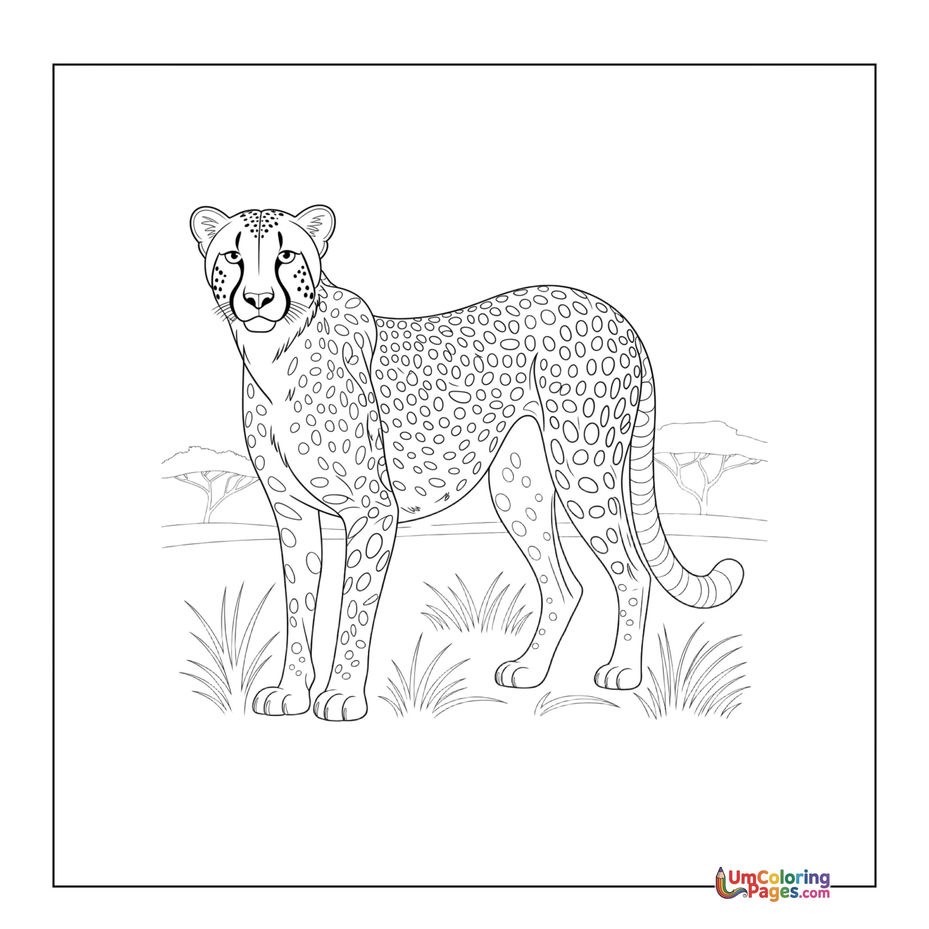 Cheetah coloring page 4 - free printable PDF