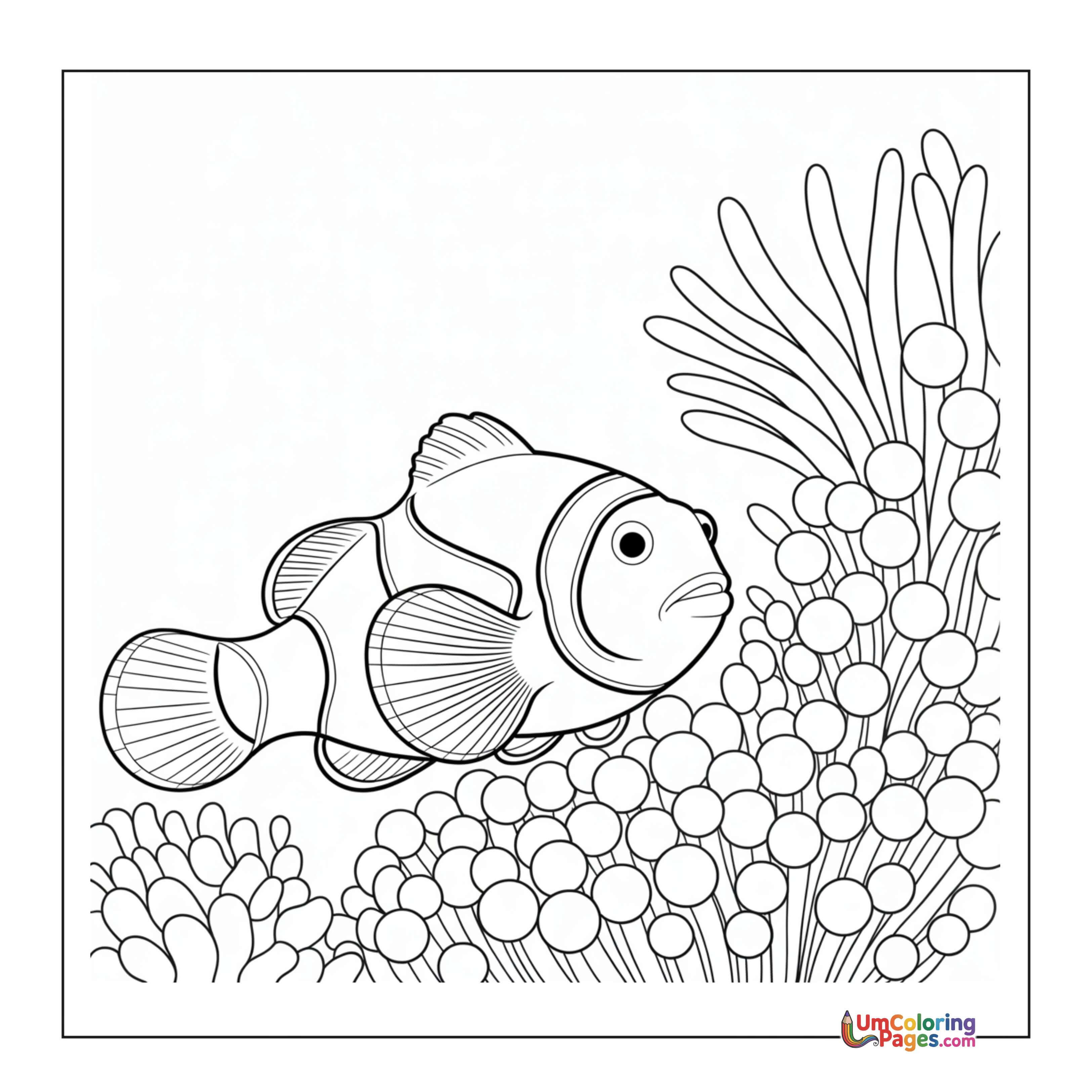 Clownfish coloring page 4 - free printable PDF