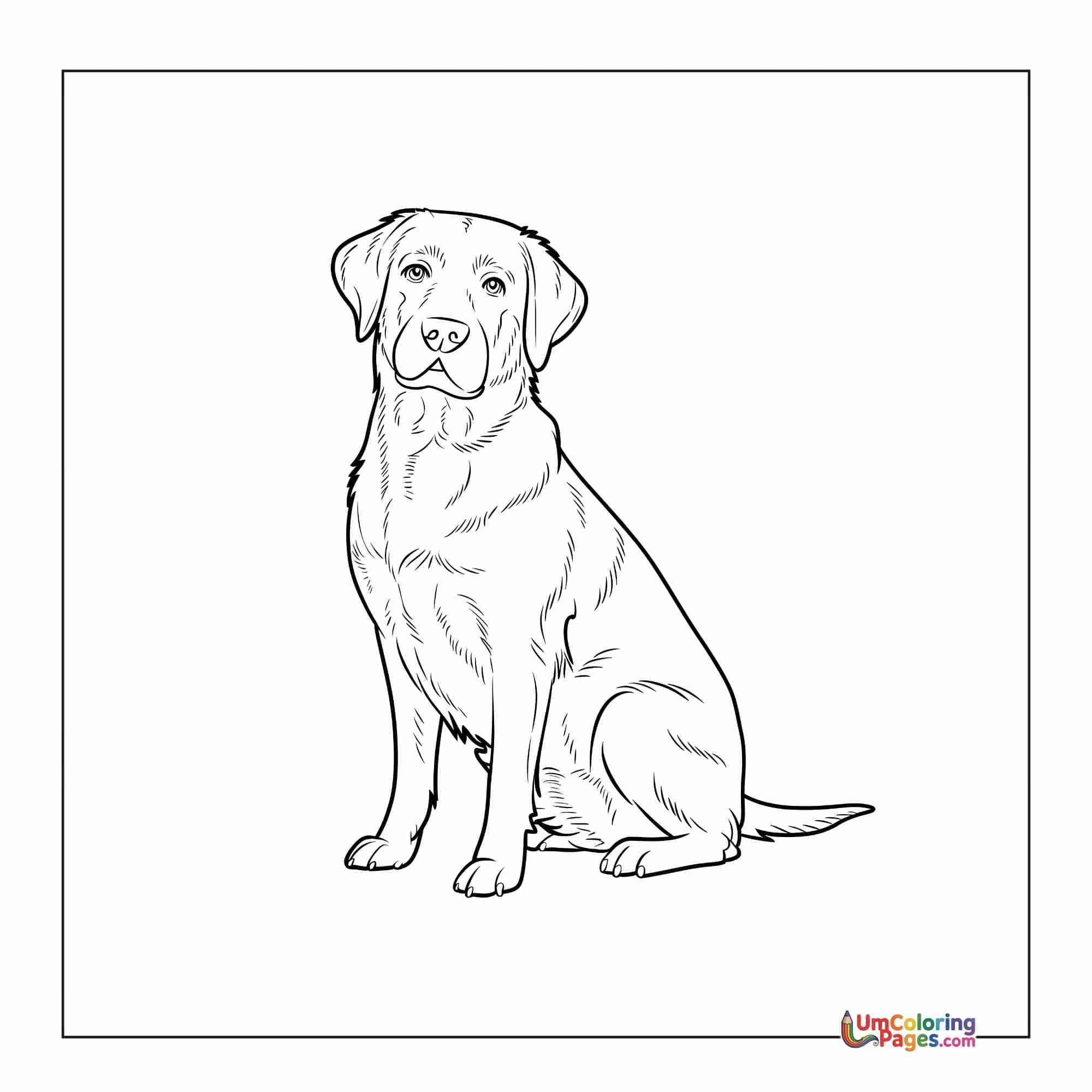 Dog coloring page 3 - free printable PDF