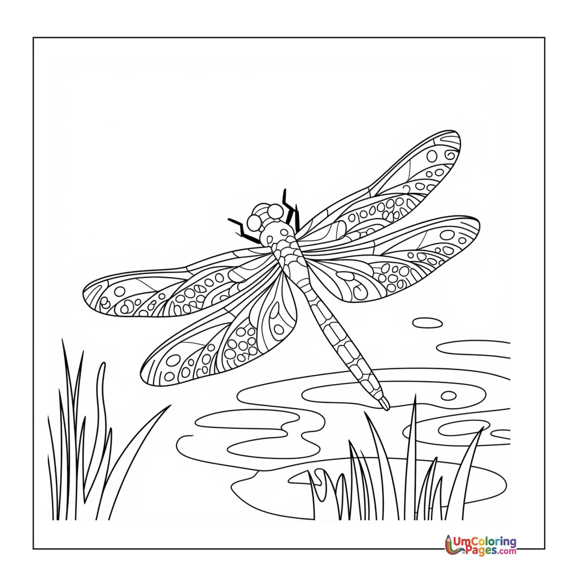 Dragonfly coloring page - free printable