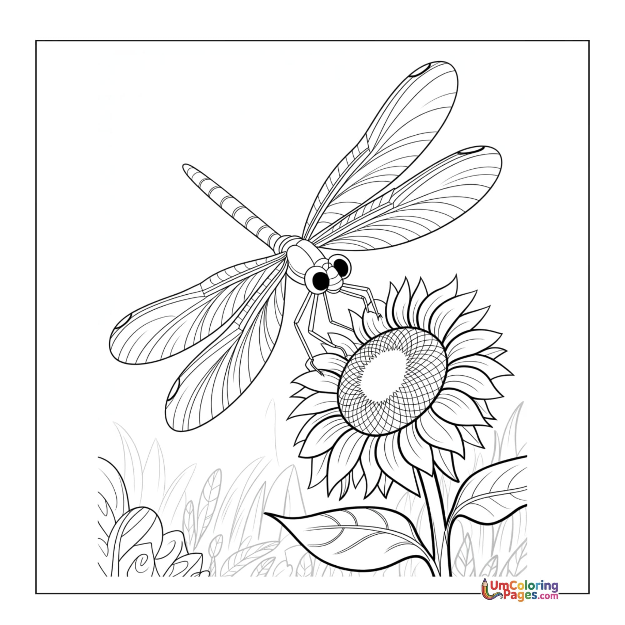 Dragonfly coloring page 5 - free printable PDF
