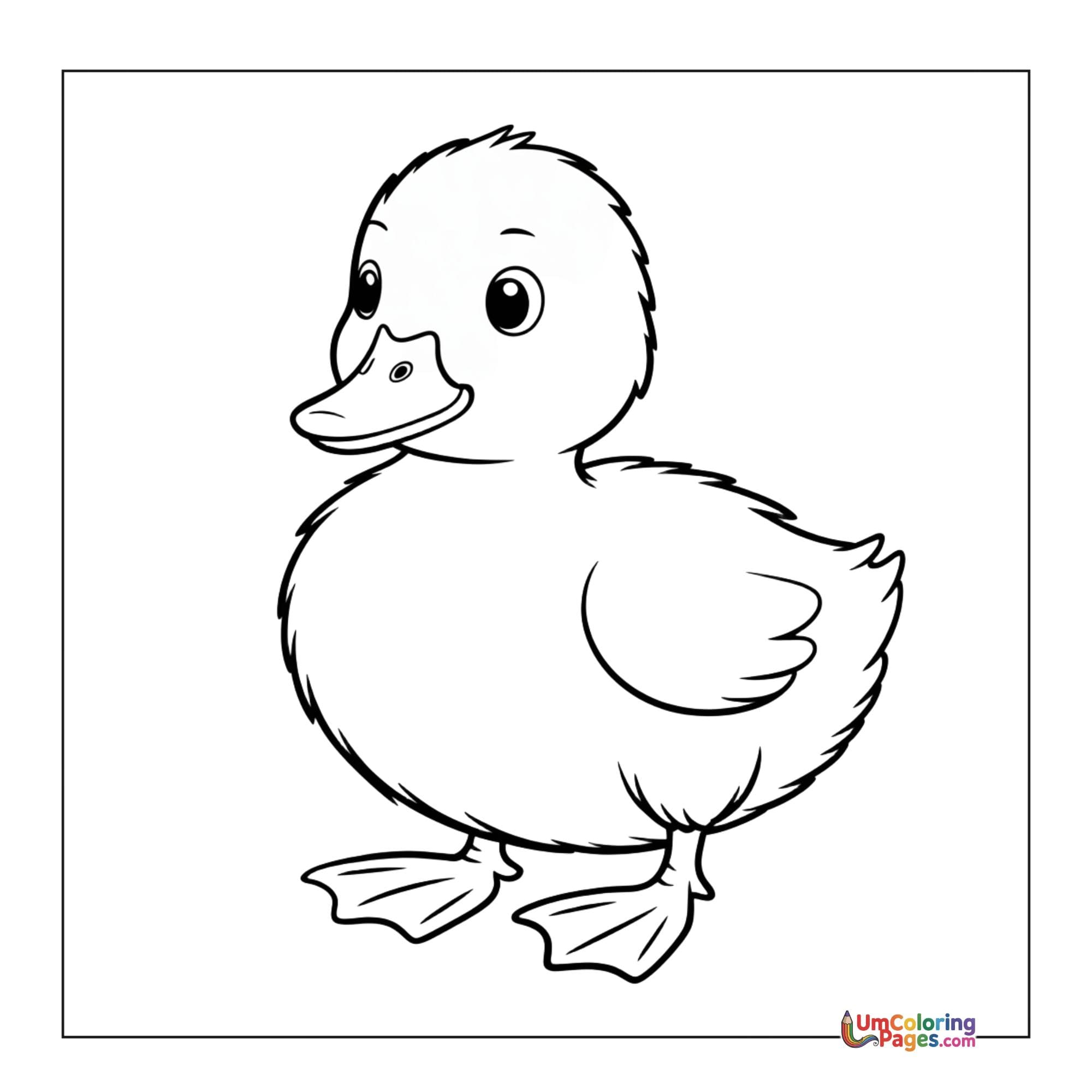Duck coloring page - free printable