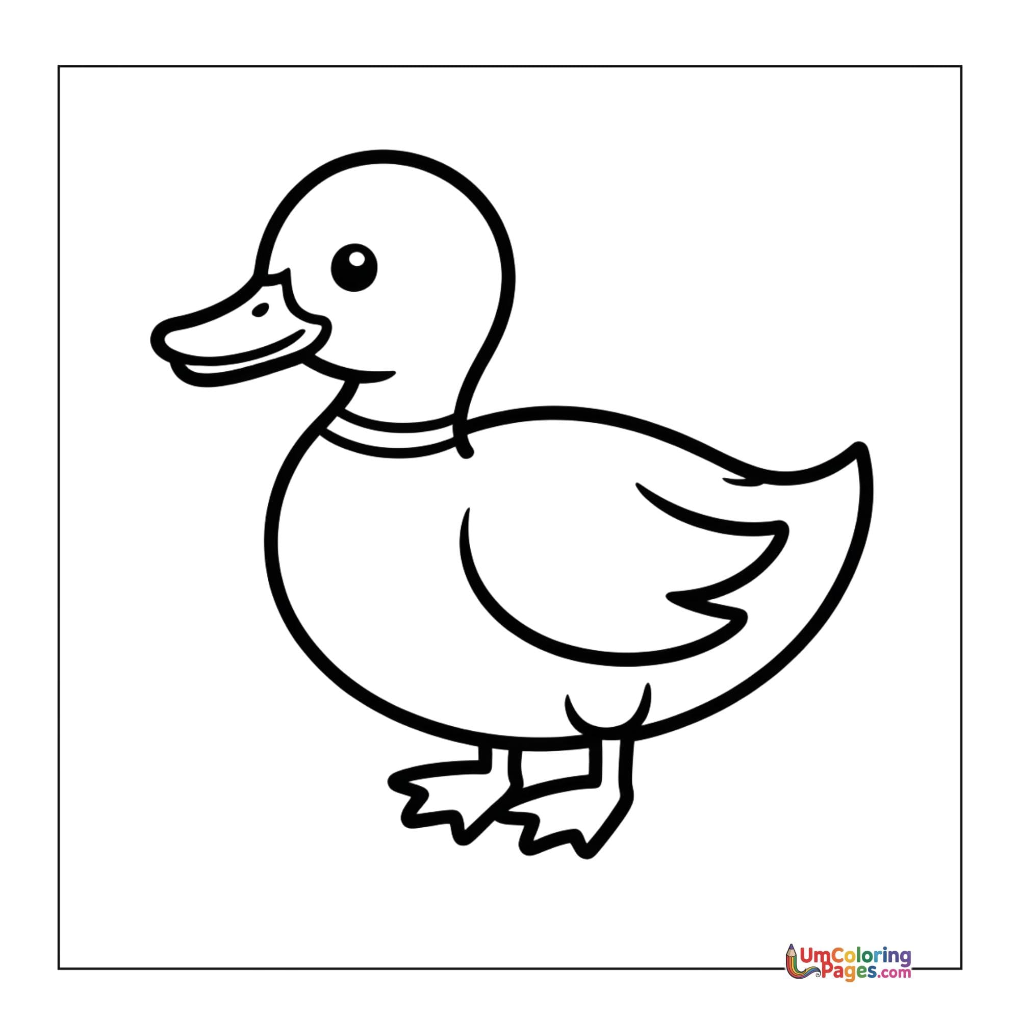 Duck coloring page 2 - free printable PDF