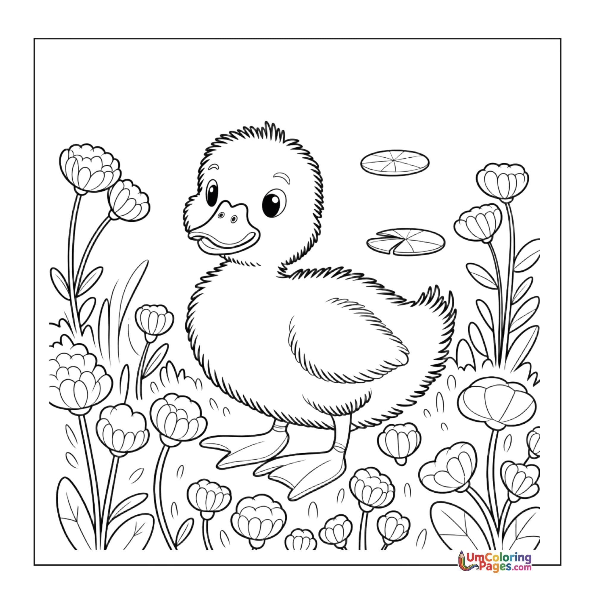 Duck coloring page 4 - free printable PDF