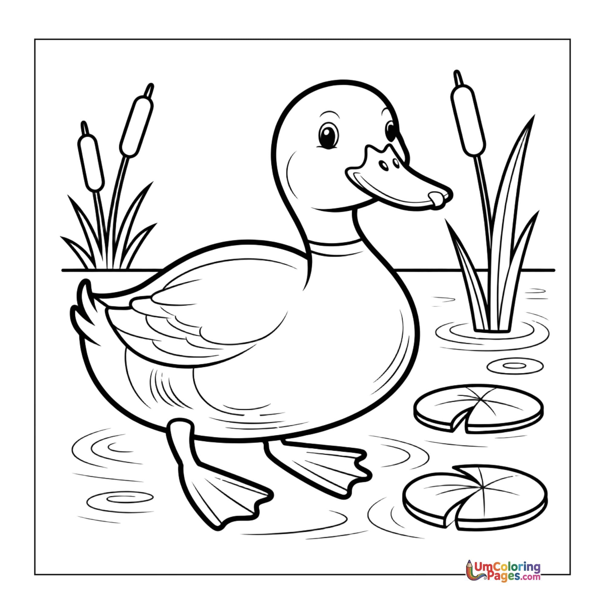 Duck coloring page 5 - free printable PDF