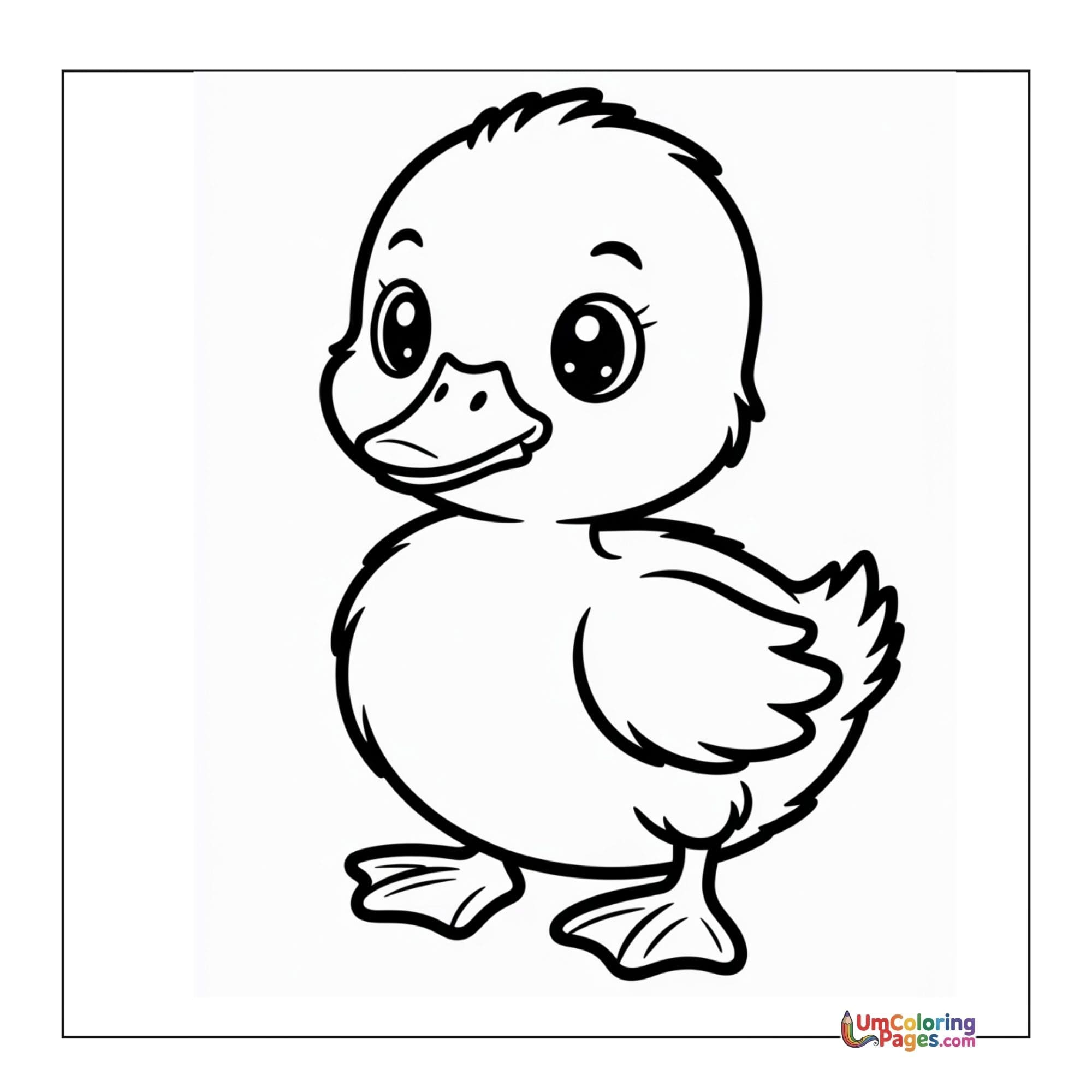 Duckling coloring page - free printable PDF for kids
