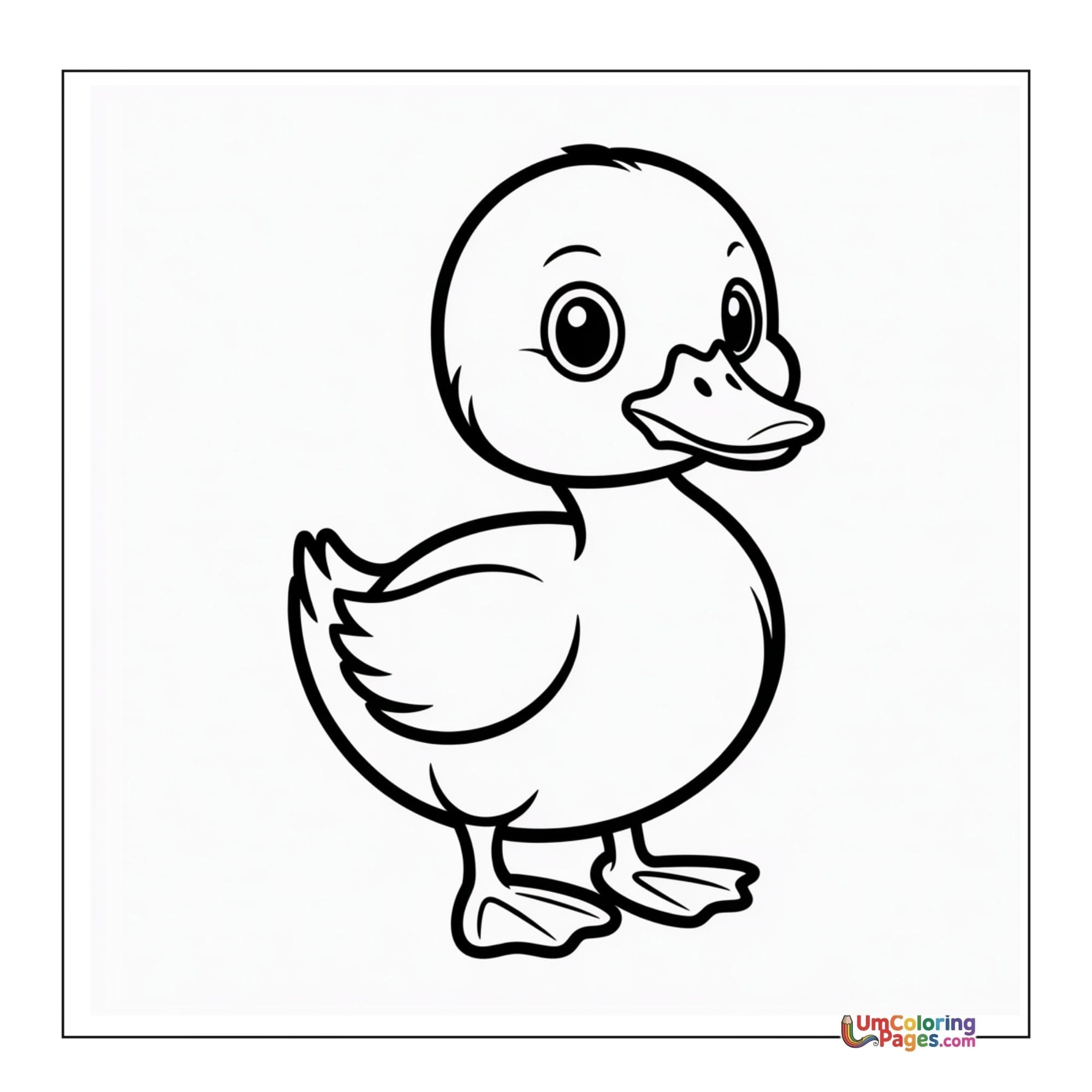 Duckling coloring page 4 - free printable PDF