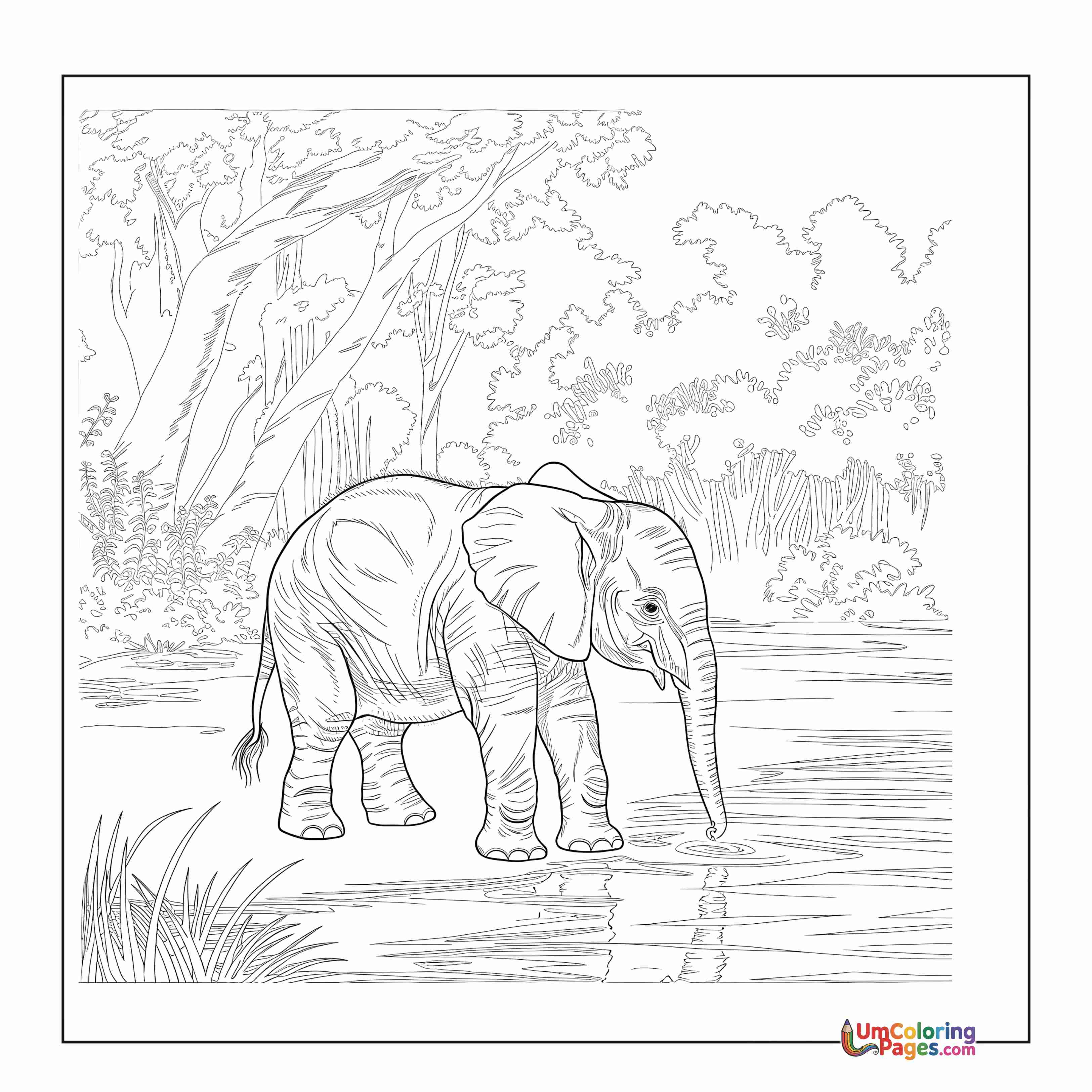 Éléphant coloring page 10 - À Imprimer Gratuit