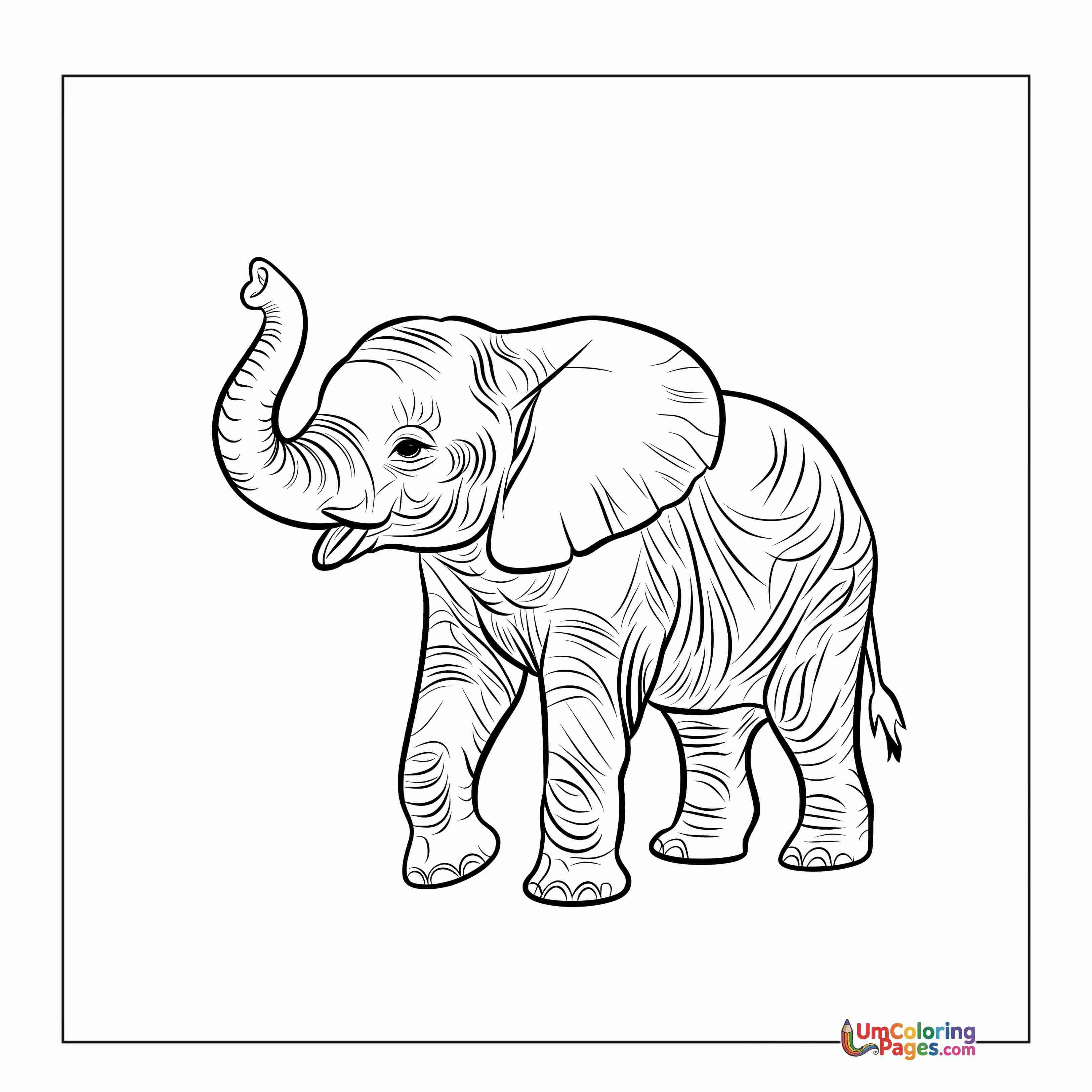 Éléphant coloring page 11 - À Imprimer Gratuit
