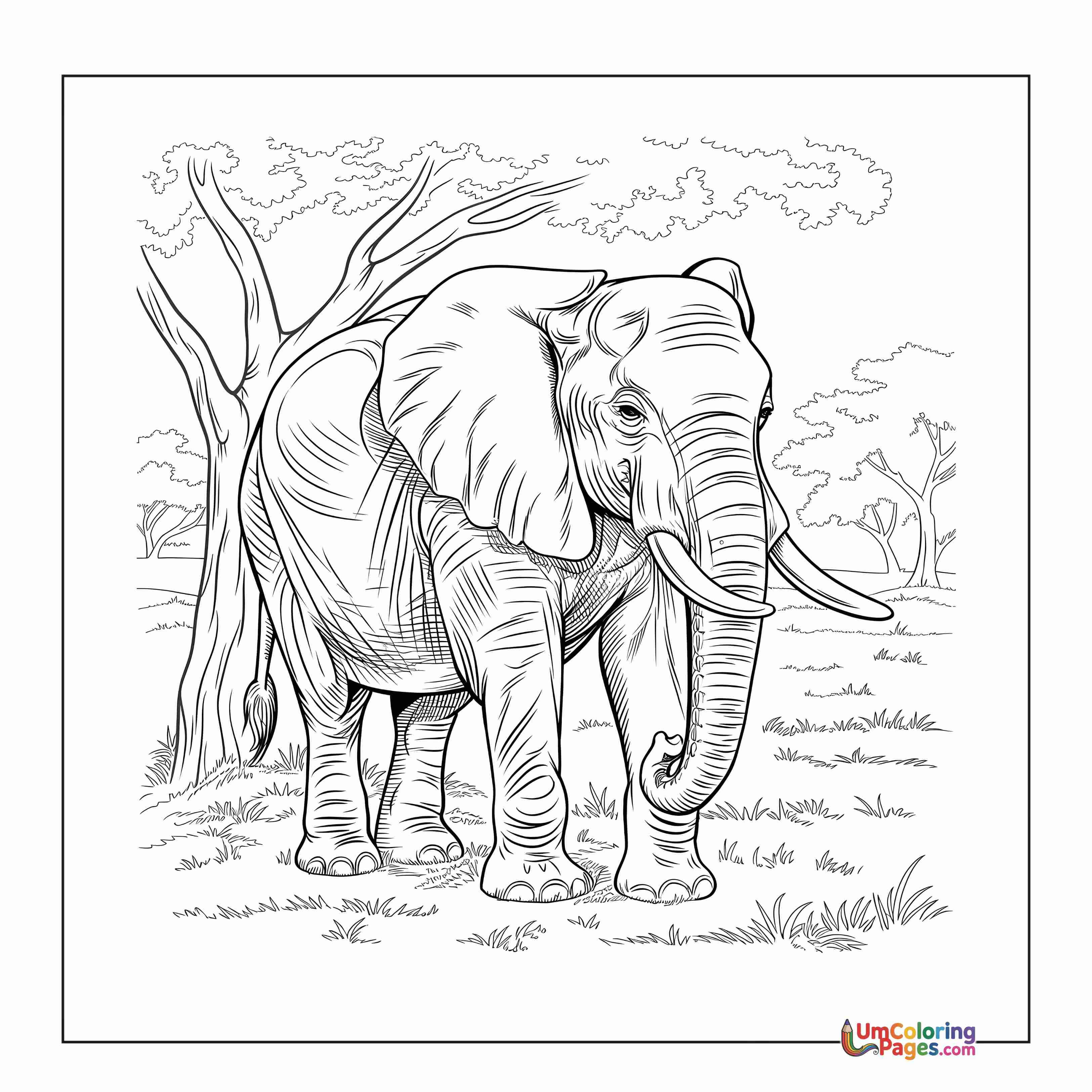 Éléphant coloring page 8 - À Imprimer Gratuit