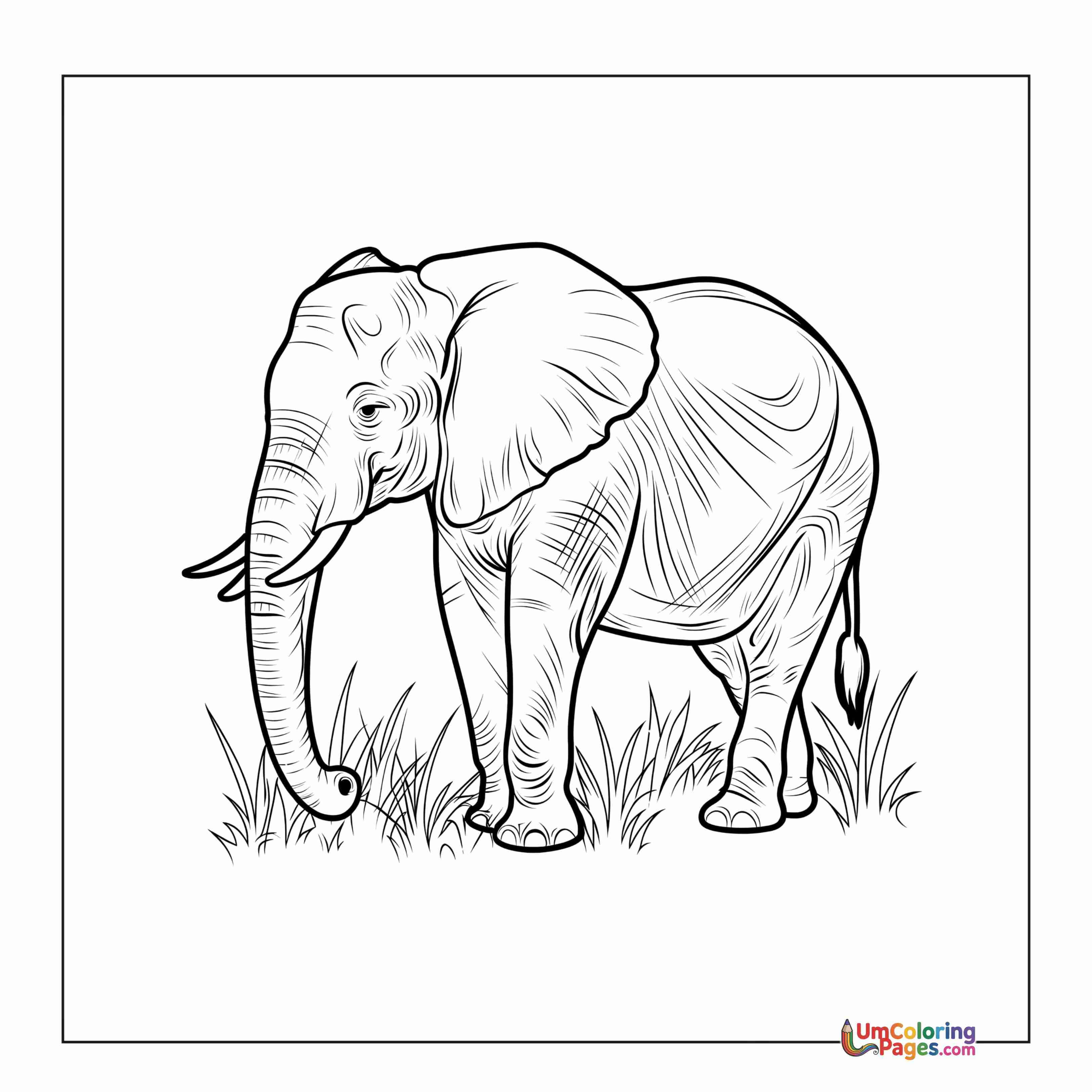Éléphant coloring page 9 - À Imprimer Gratuit