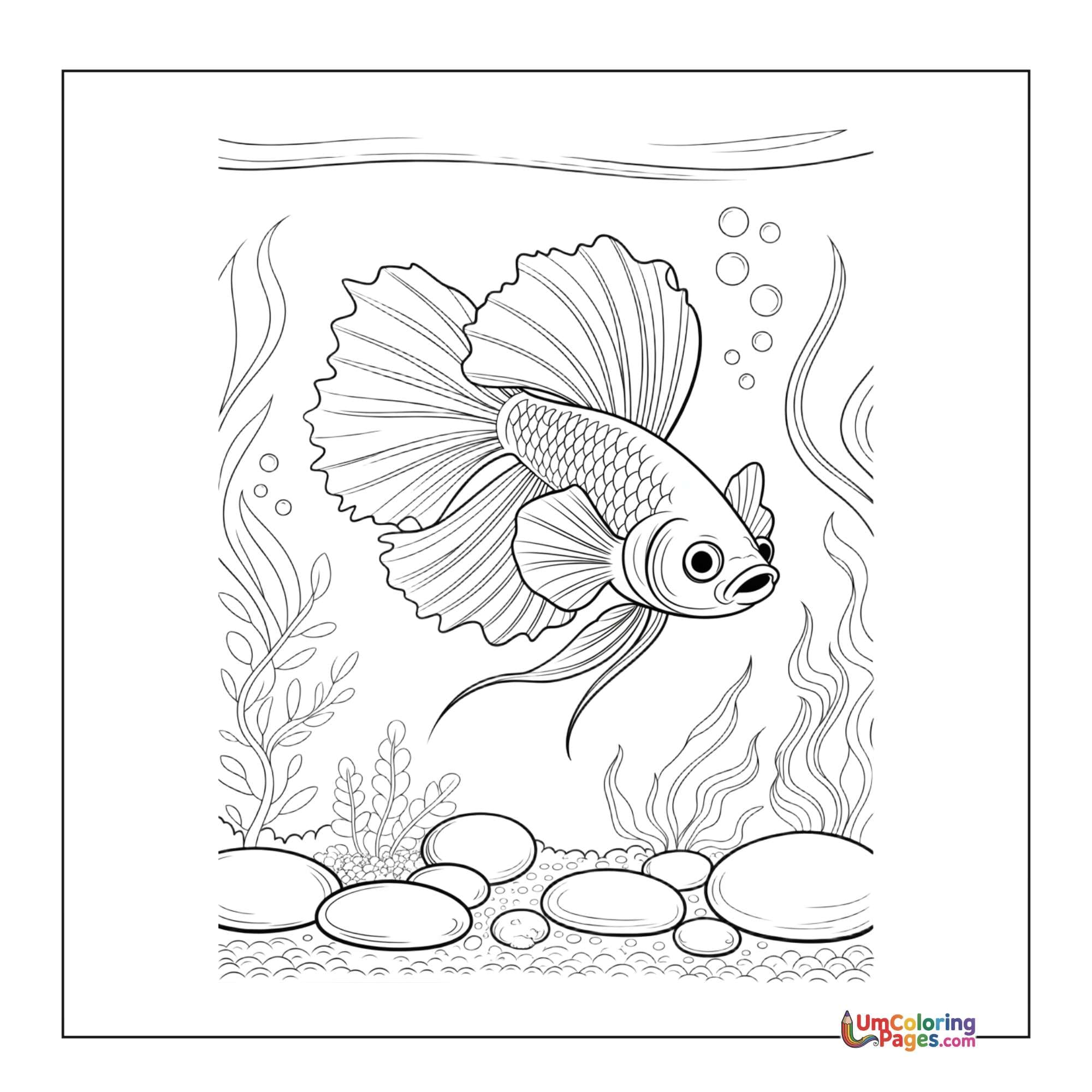 Fish coloring page 4 - free printable PDF