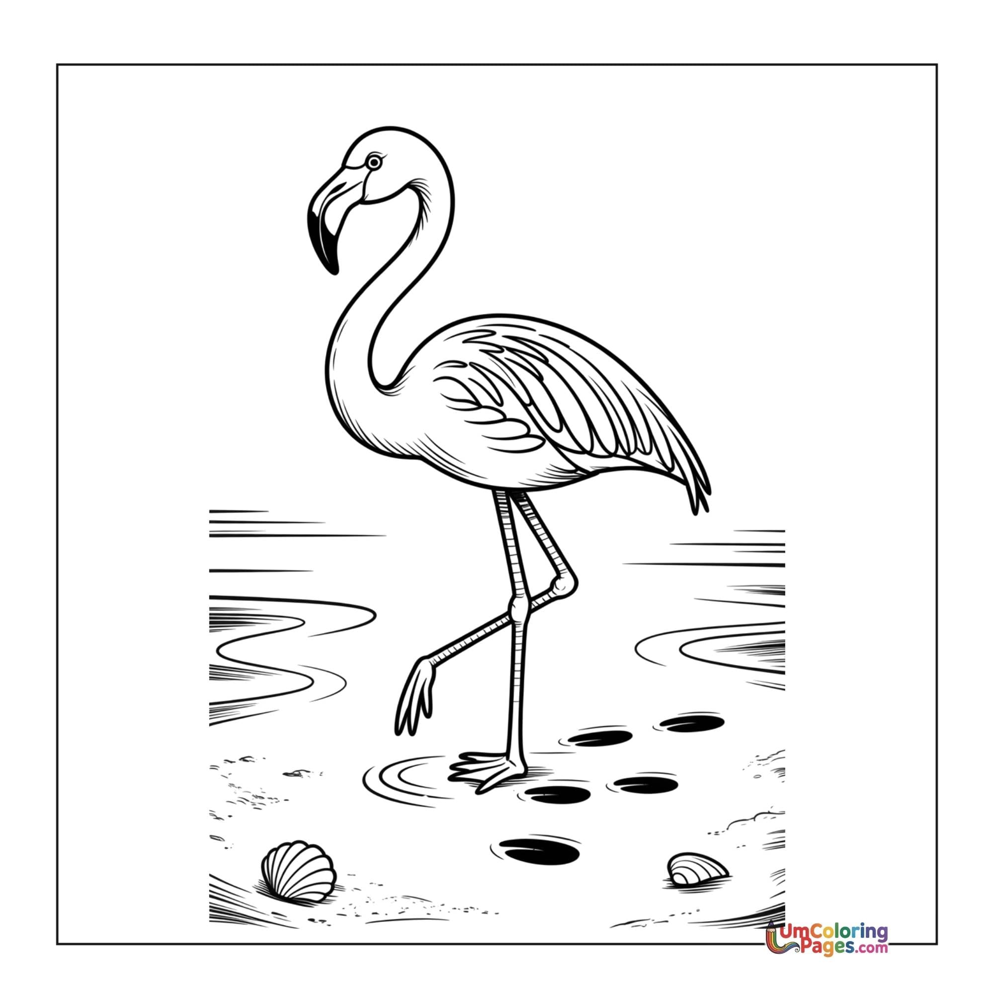 Flamingo coloring page 2 - free printable PDF
