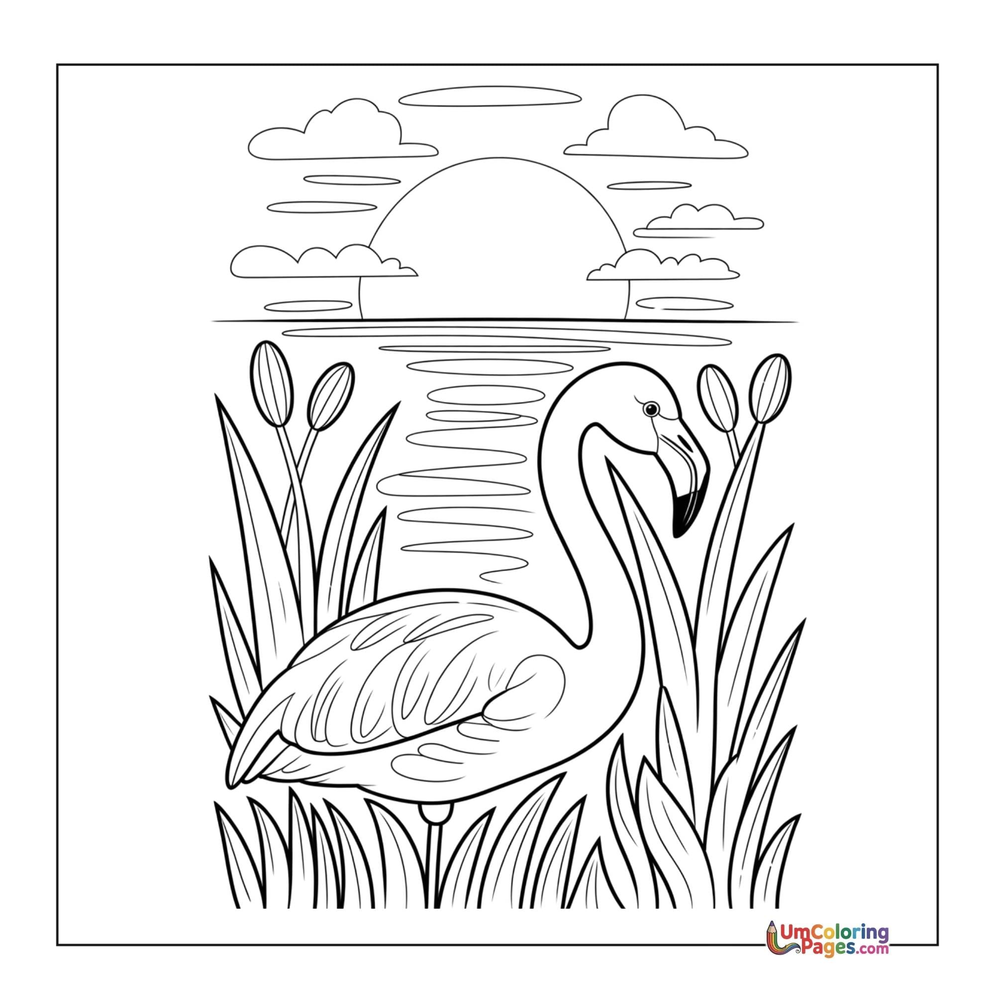 Flamingo coloring page 6 - free printable PDF