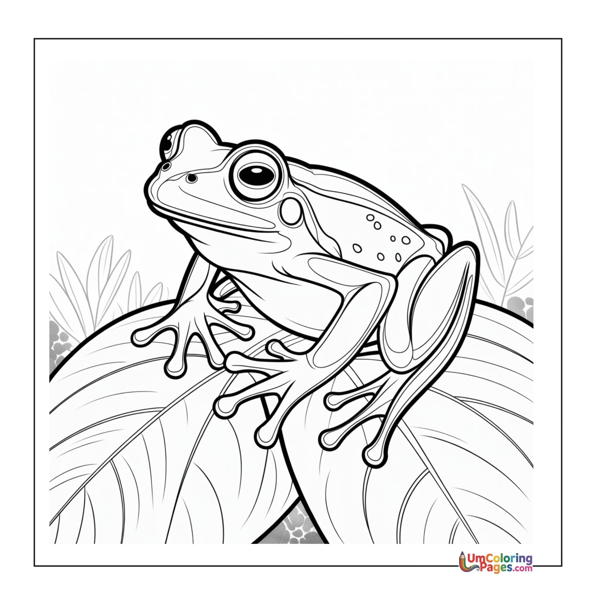 Frog coloring page 4 - free printable PDF