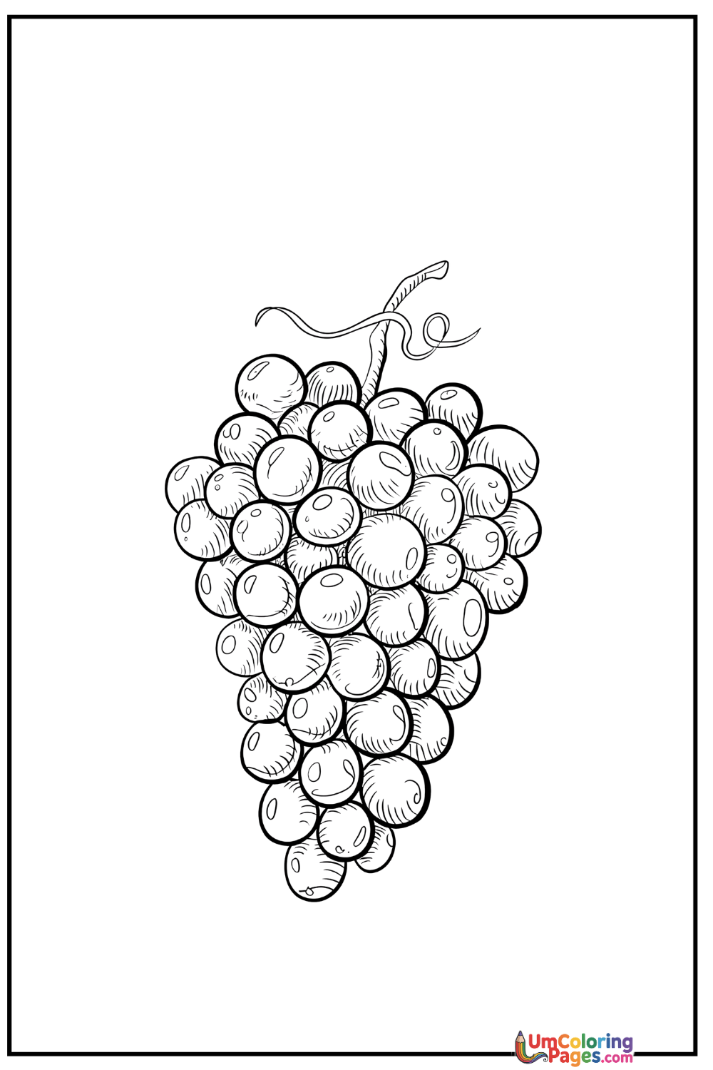 Grapes coloring page - free printable