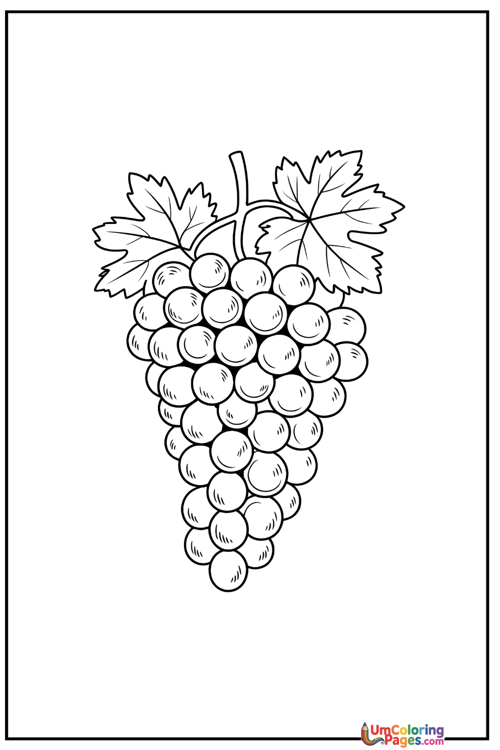 Grapes coloring page 2 - free printable PDF