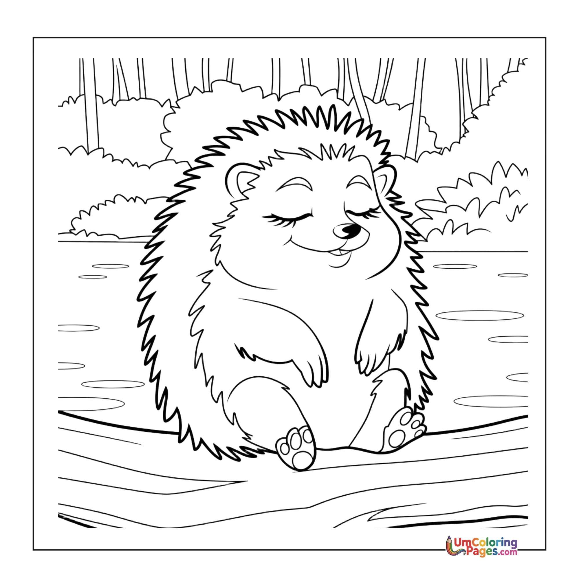 Hedgehog coloring page 3 - free printable PDF