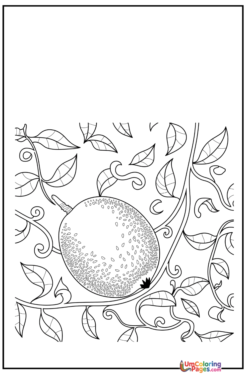 Kiwi coloring page - free printable