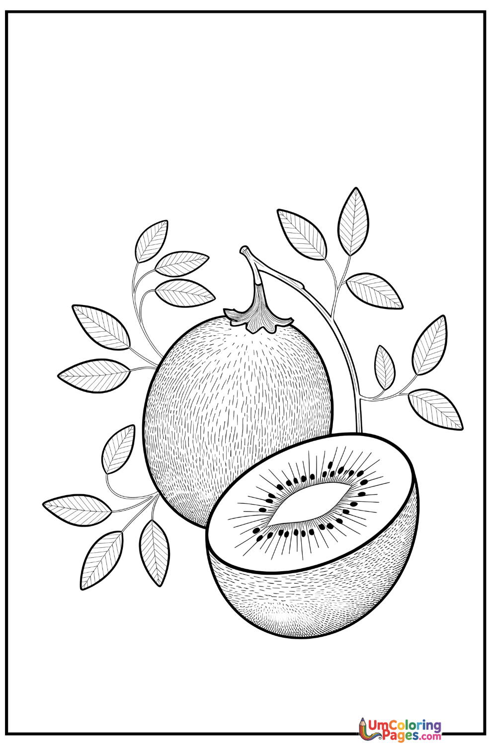 Kiwi coloring page 2 - free printable PDF
