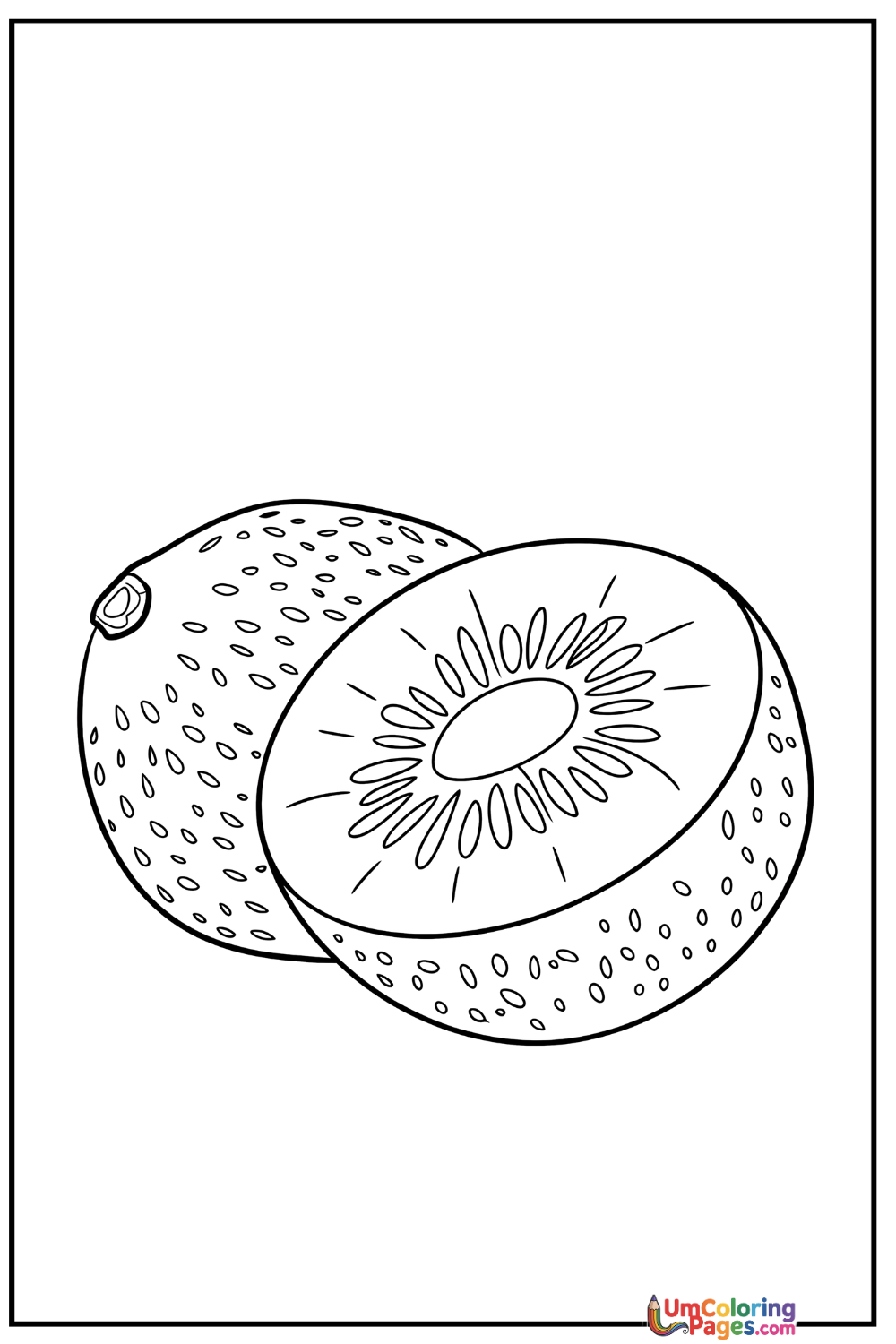 Kiwi coloring page 3 - free printable PDF