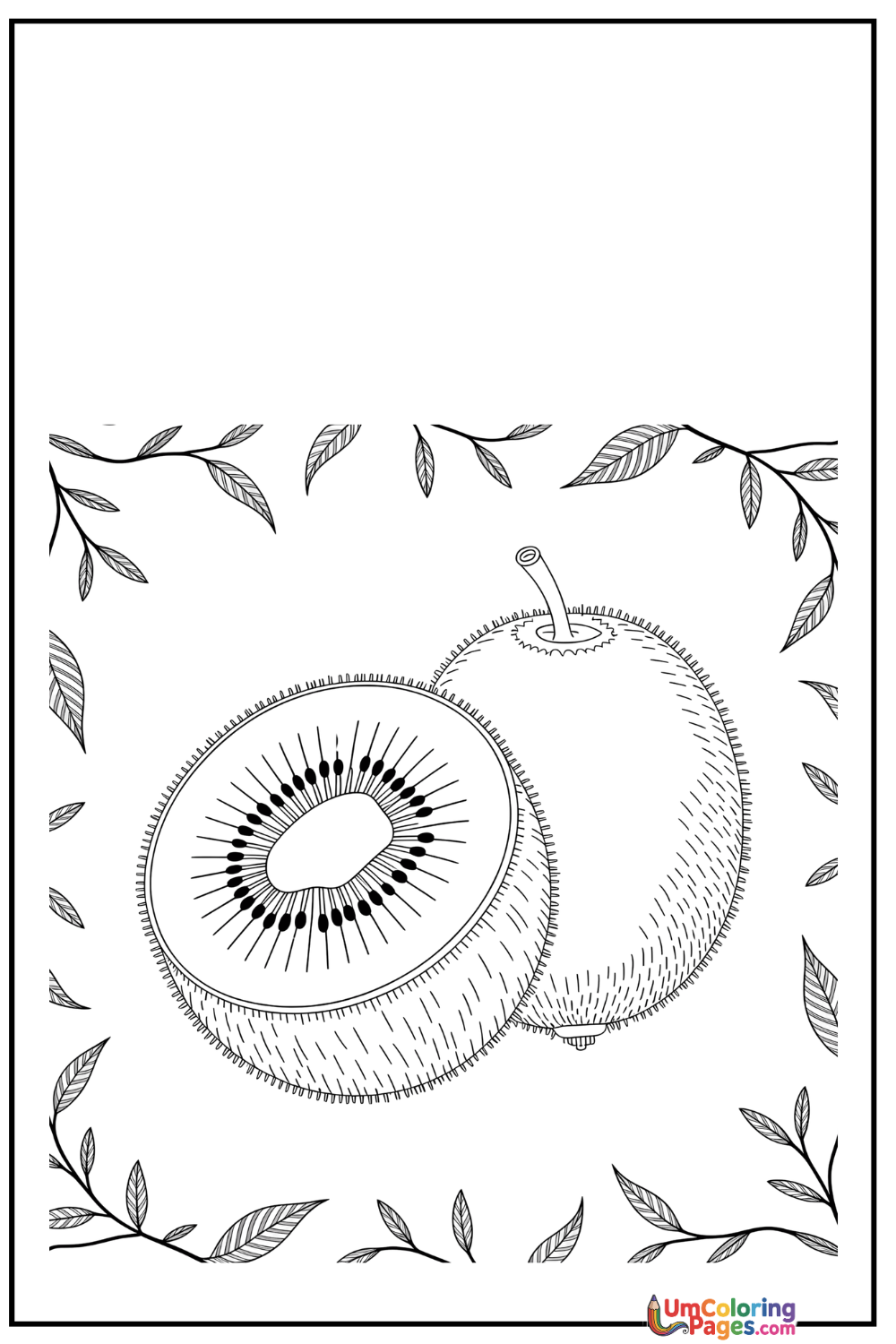 Kiwi coloring page 4 - free printable PDF
