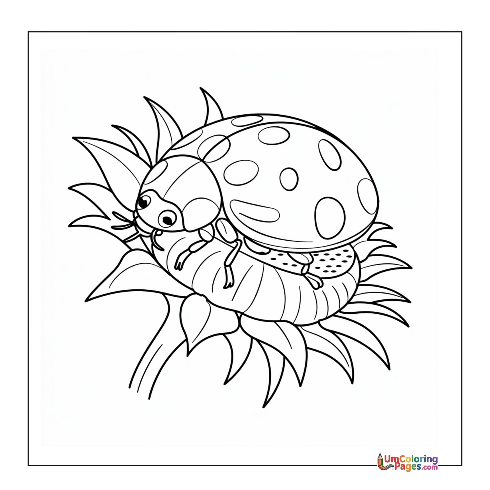 Ladybug coloring page 5 - free printable PDF