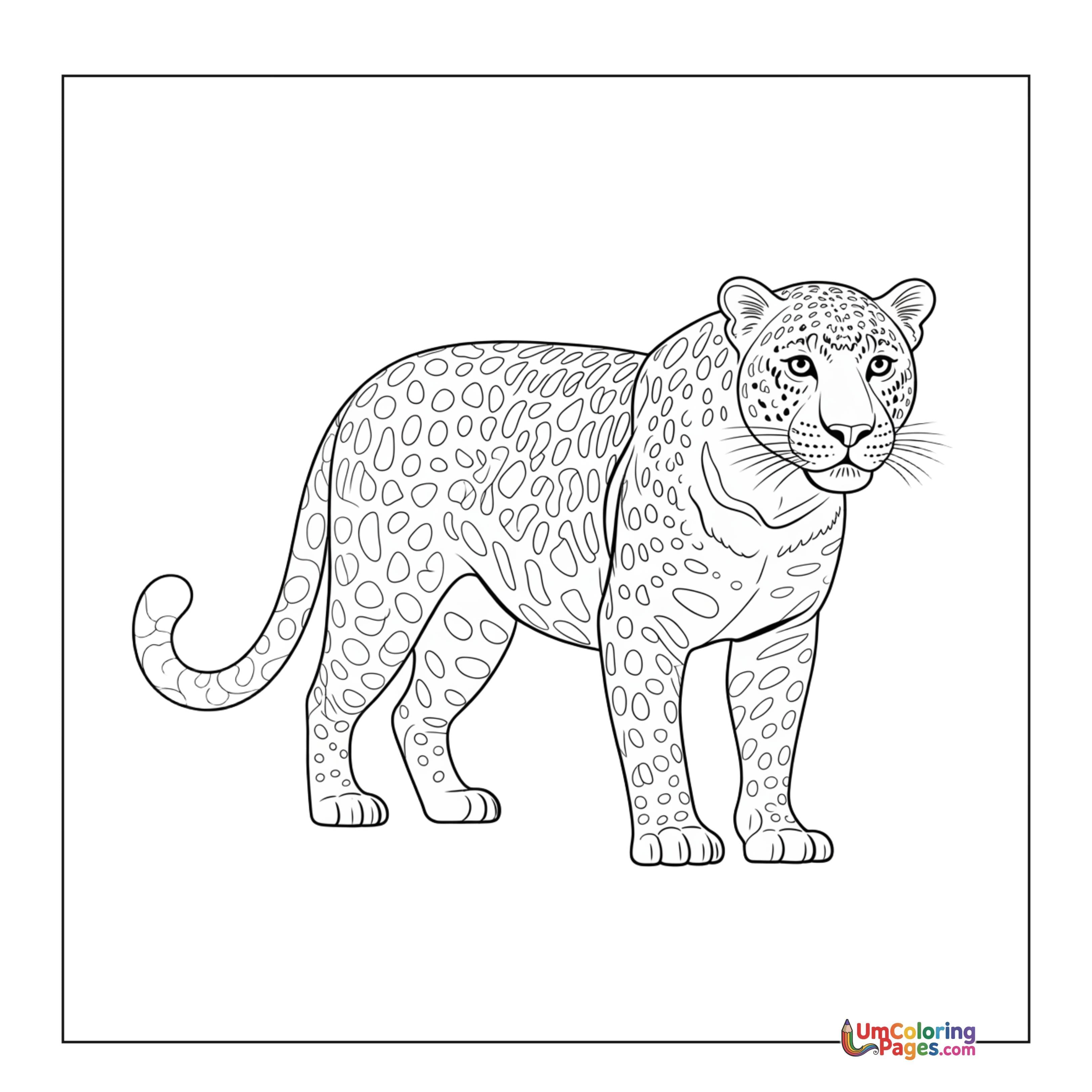 Leopard coloring page 4 - free printable PDF