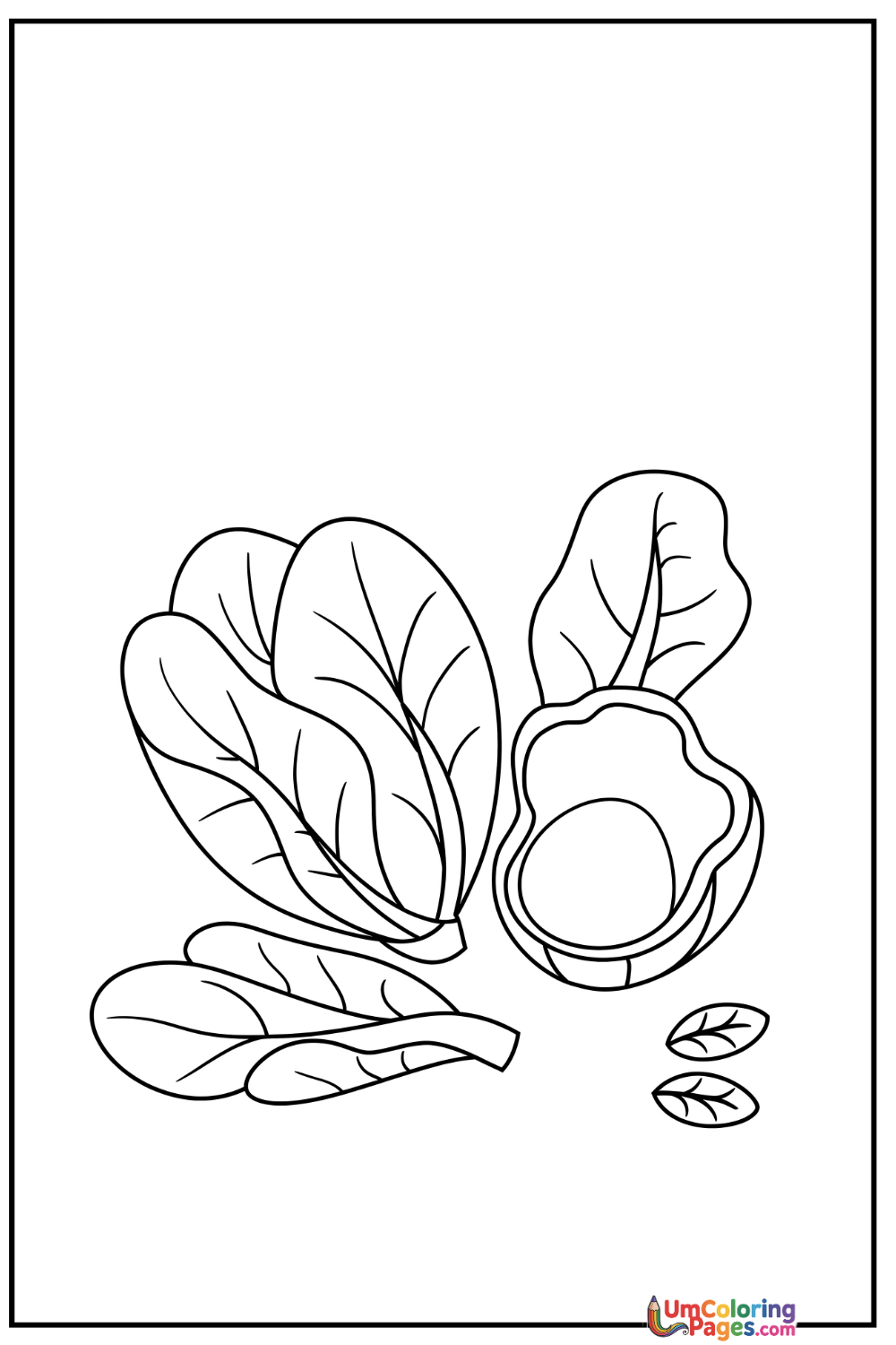 Lettuce coloring page - free printable