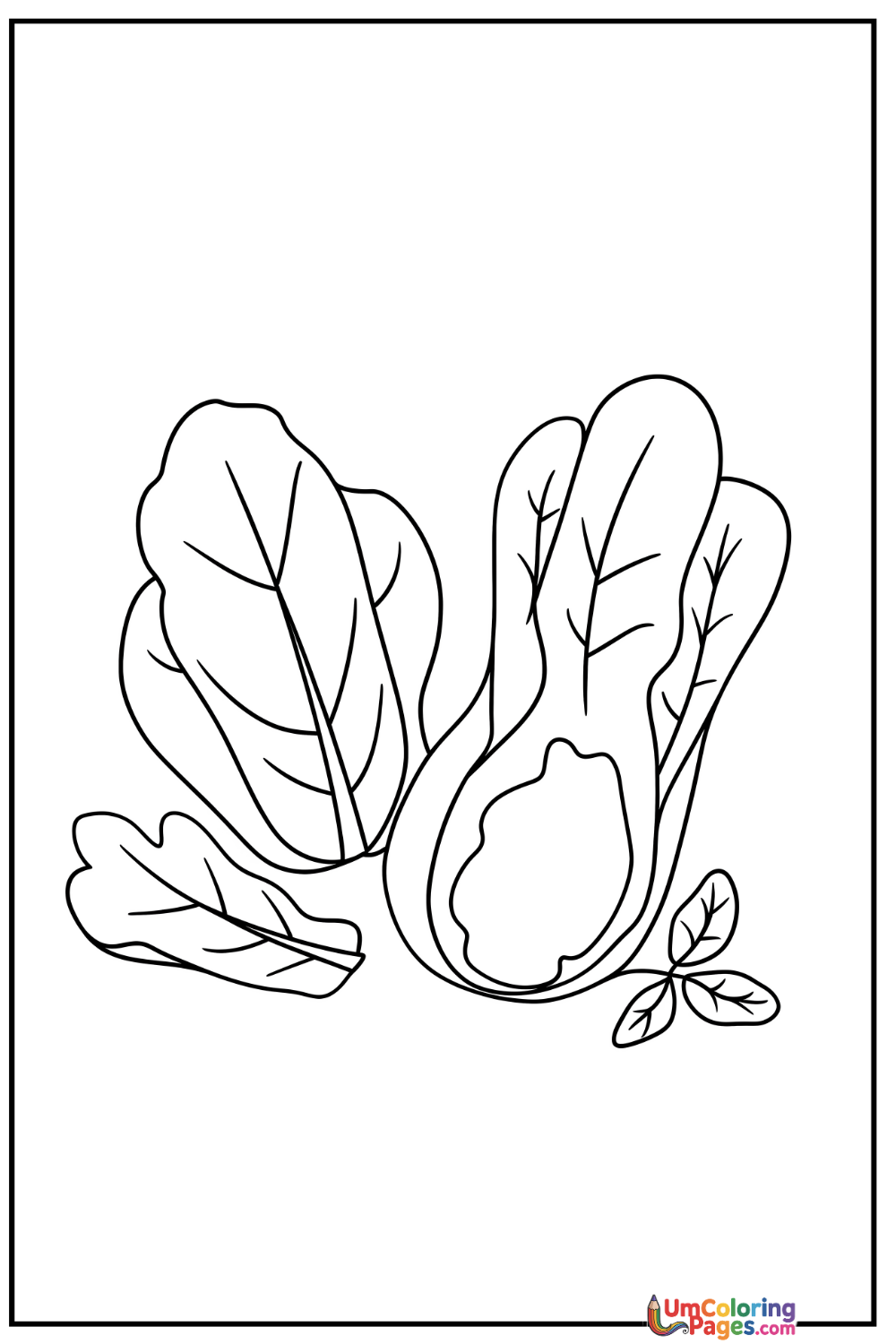 Lettuce coloring page 2 - free printable PDF