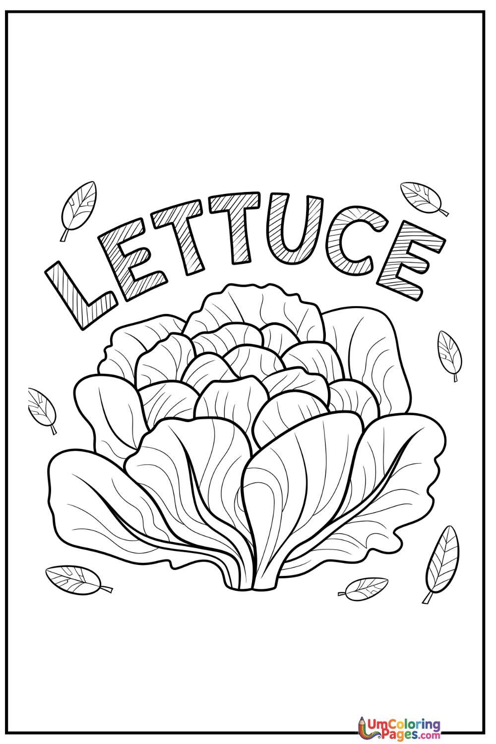 Lettuce coloring page 3 - free printable PDF