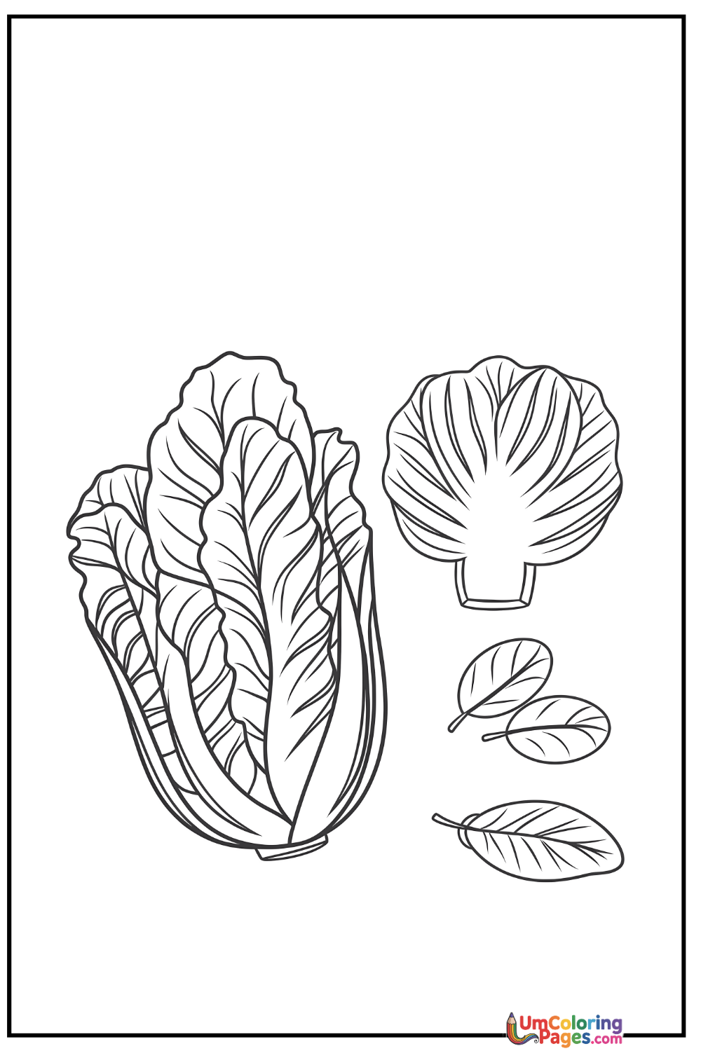 Lettuce coloring page 4 - free printable PDF