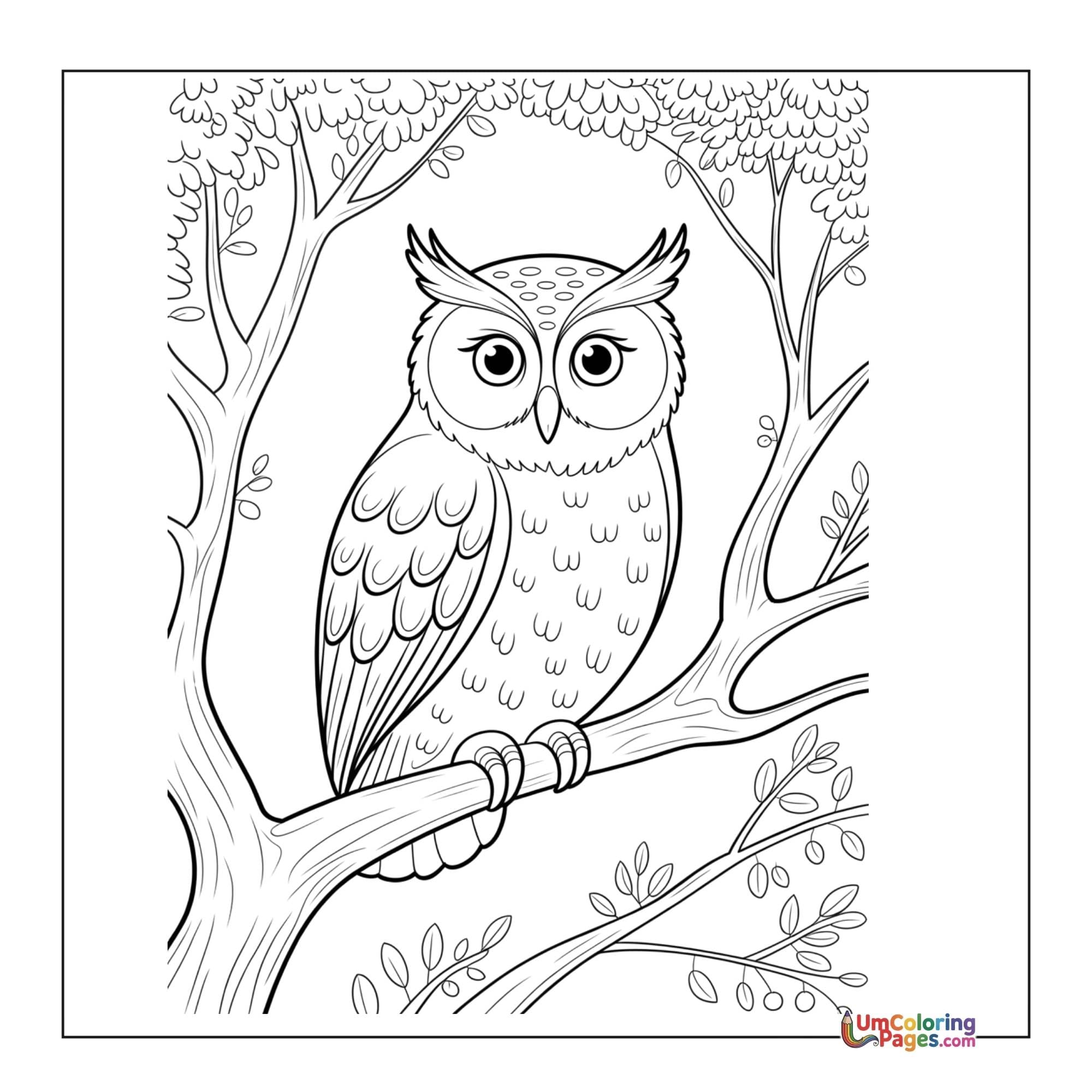 Owl coloring page - free printable
