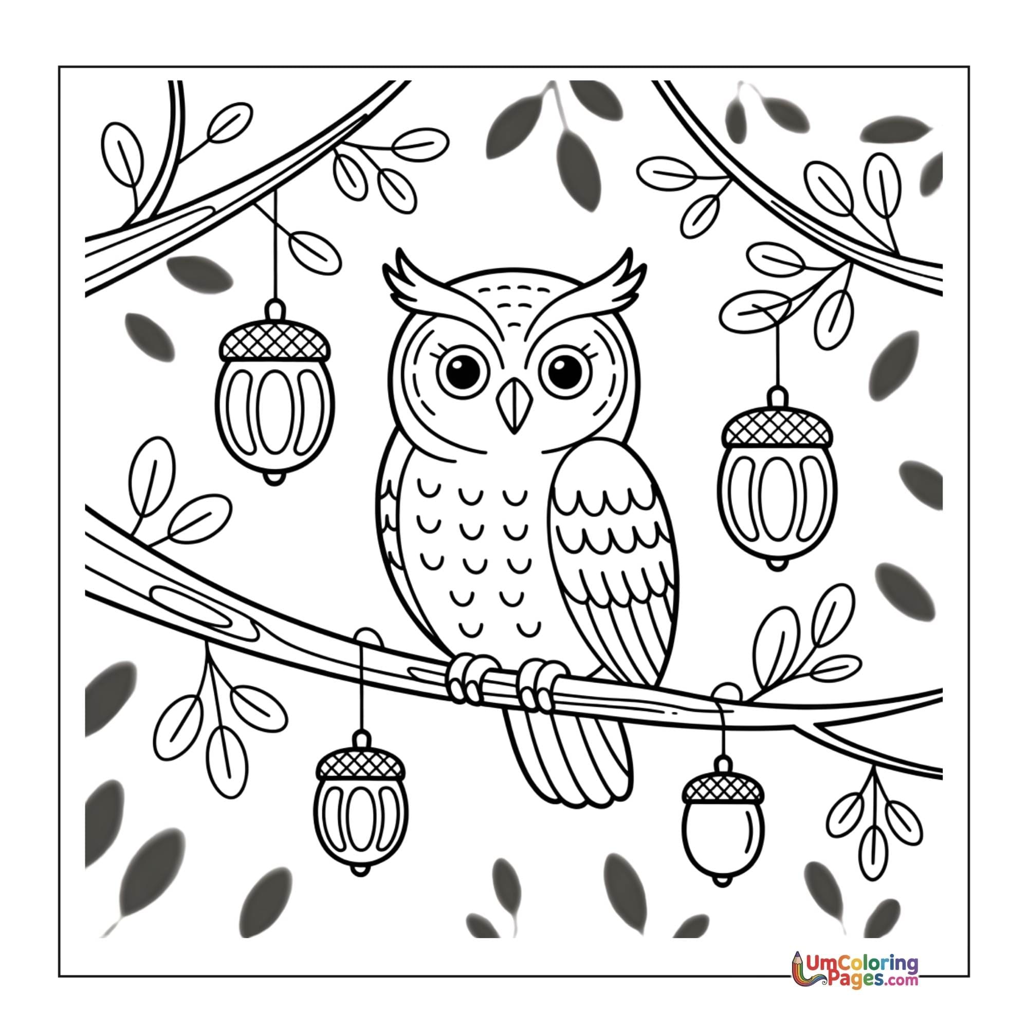 Owl coloring page 2 - free printable PDF
